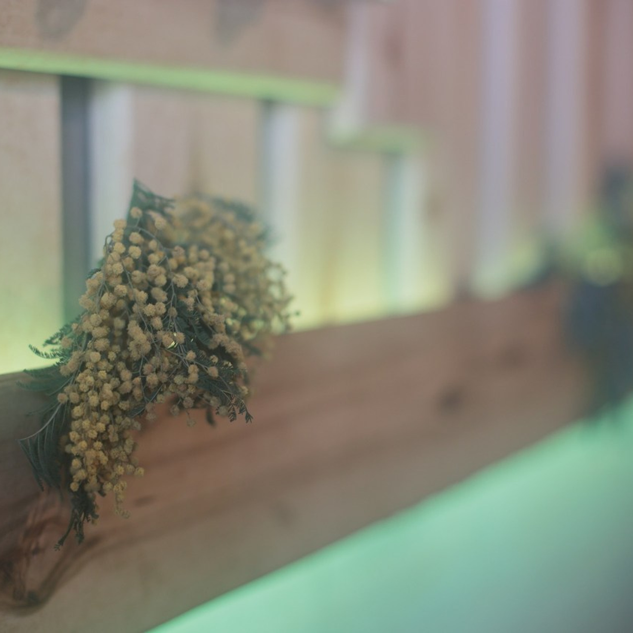 Отзывы. Профессиональный фотограф в Ижевске Олеся Бобылева