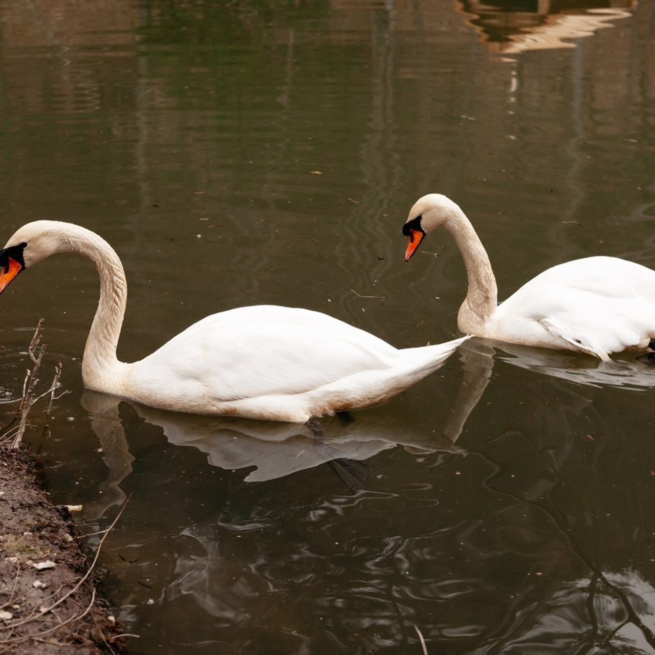 Отзывы о Фотографе — Мнение моих клиентов. Свадебный и индивидуальный фотограф в Крыму, Ялте и Севастополе Никадимова Екатерина