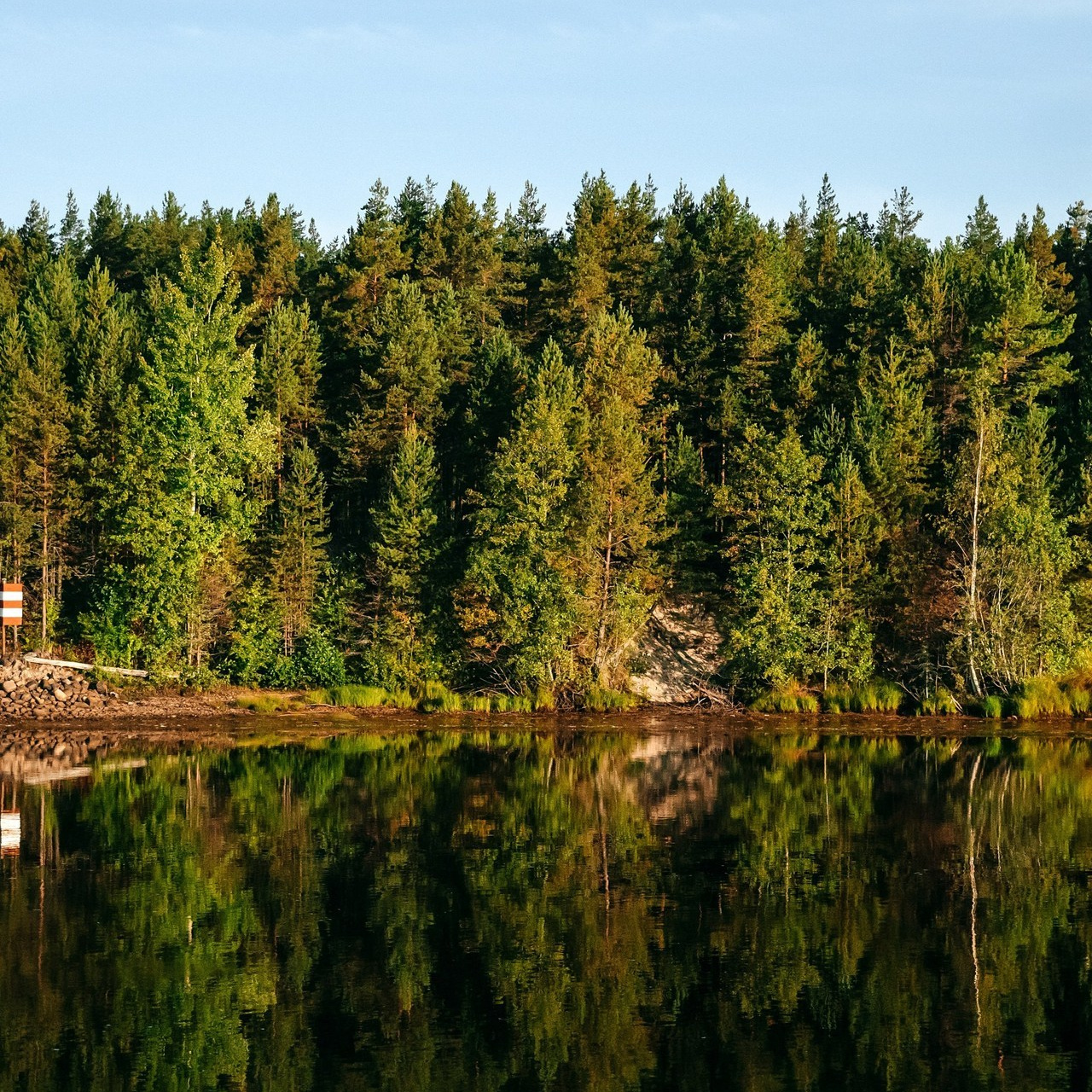 Отзывы о фотографе Анастасии Чистяковой. Репортажный Фотограф Москва-Чистякова Анастасия