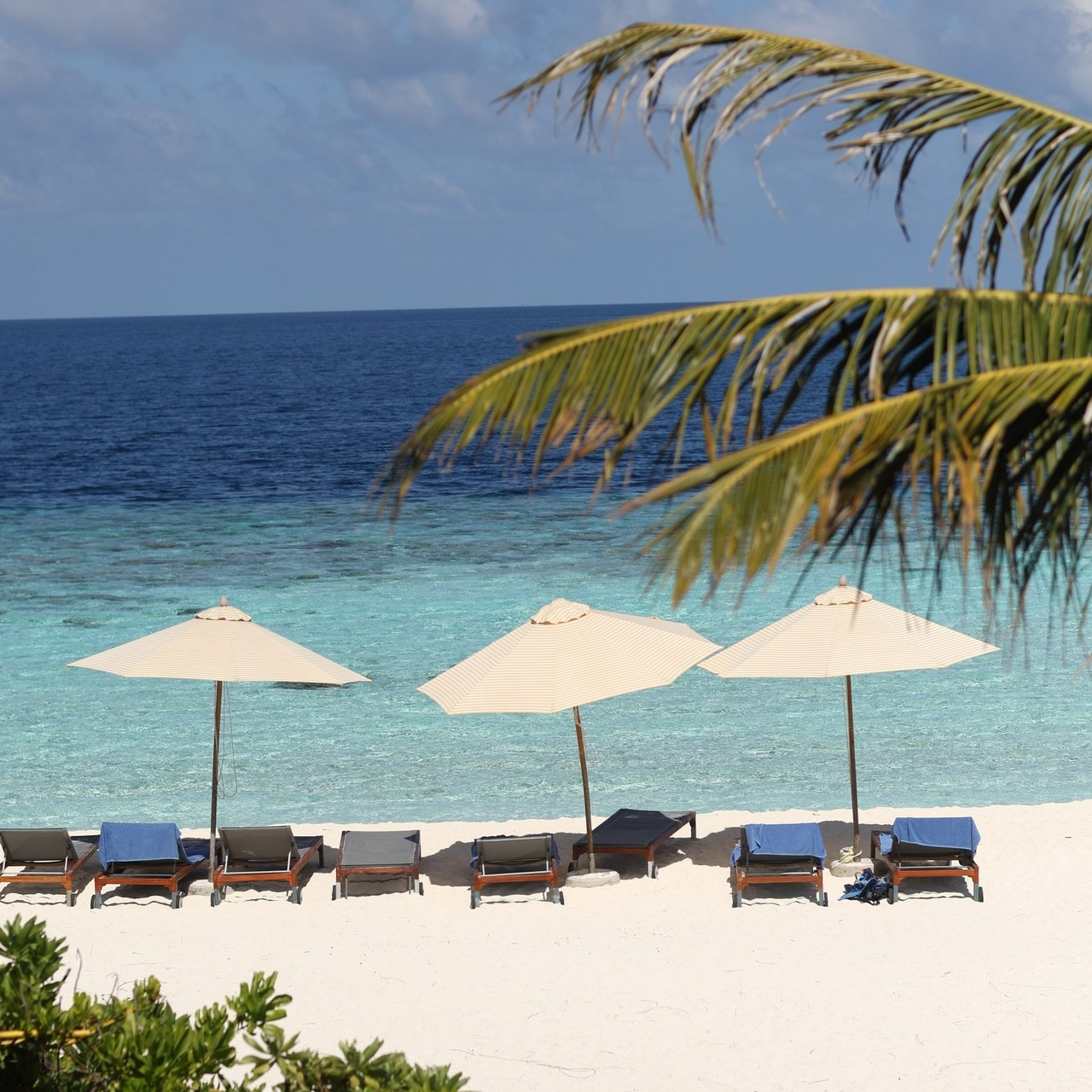 Отзывы. Фотограф Брежнева Светлана Ростов-на-Дону Москва