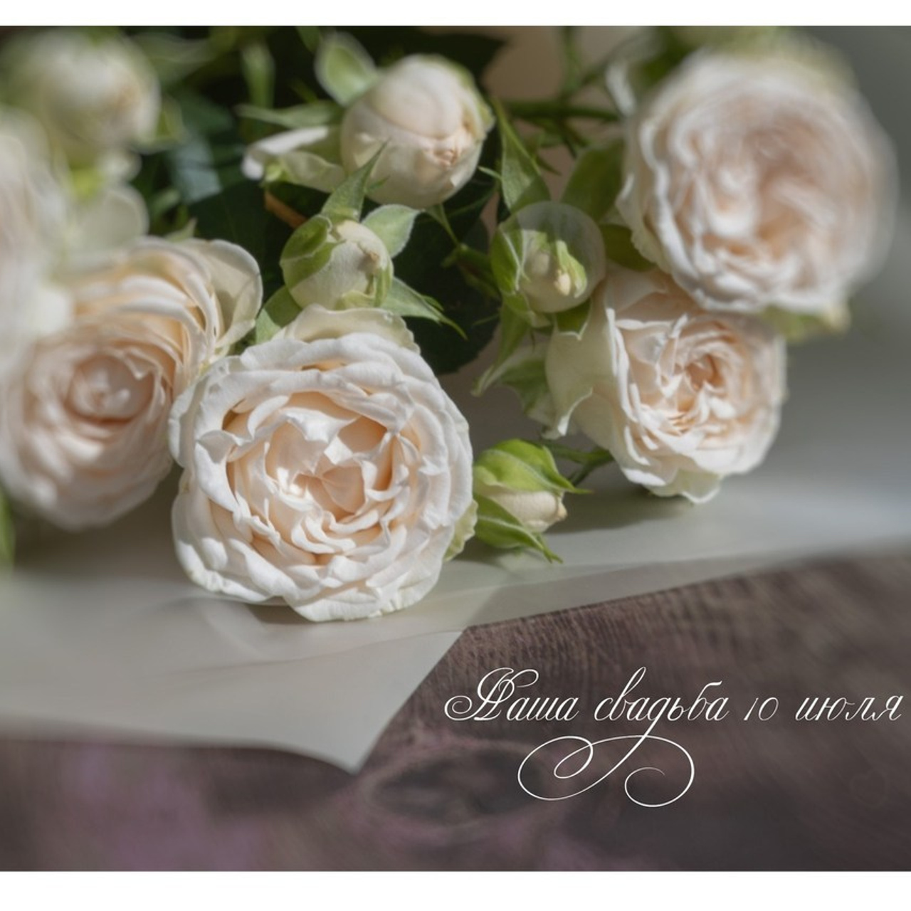 Отзывы. Детский и семейный фотограф Барнаул Татьяна Губанова