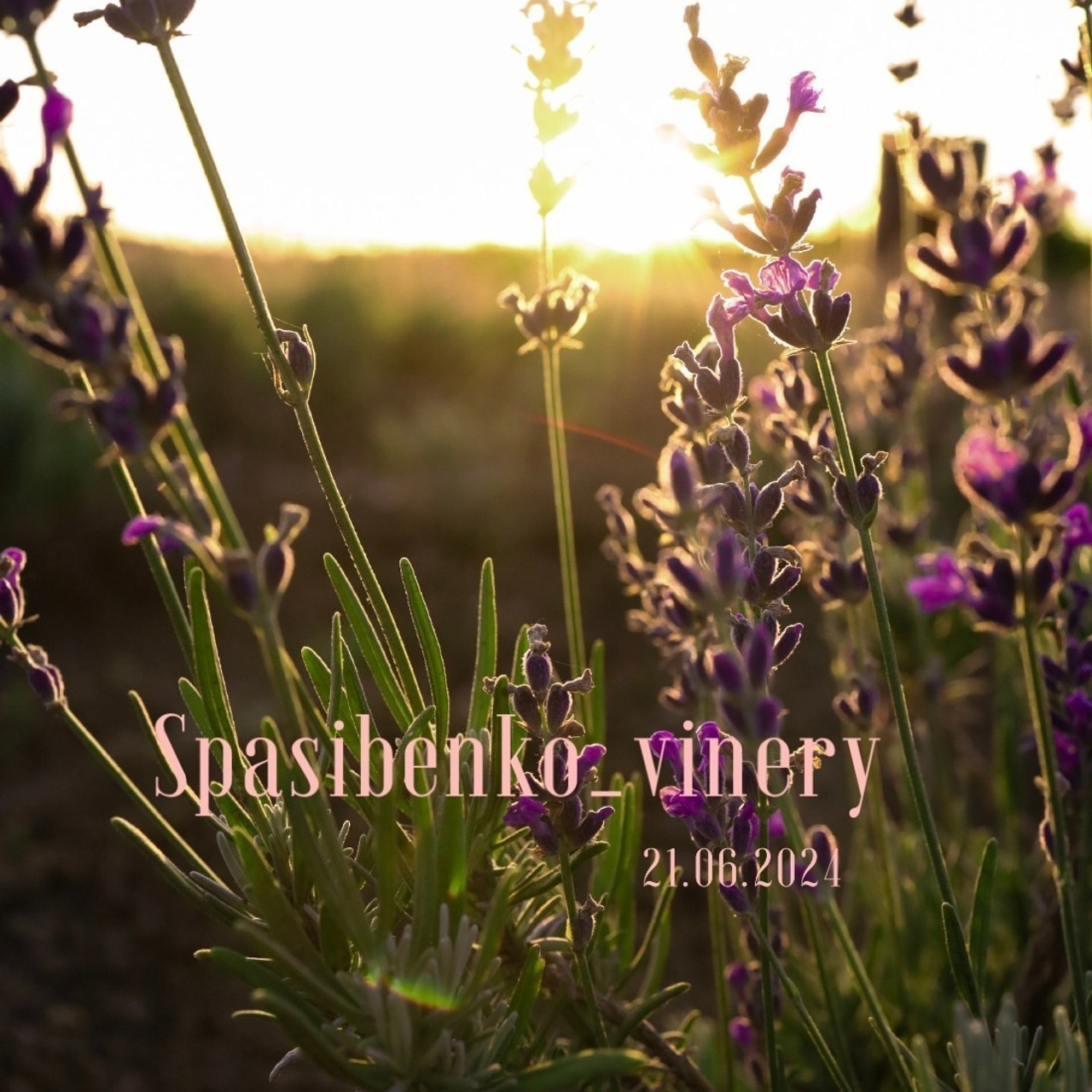 Отзывы. Женский портрет и немного больше в Санкт-Петербурге