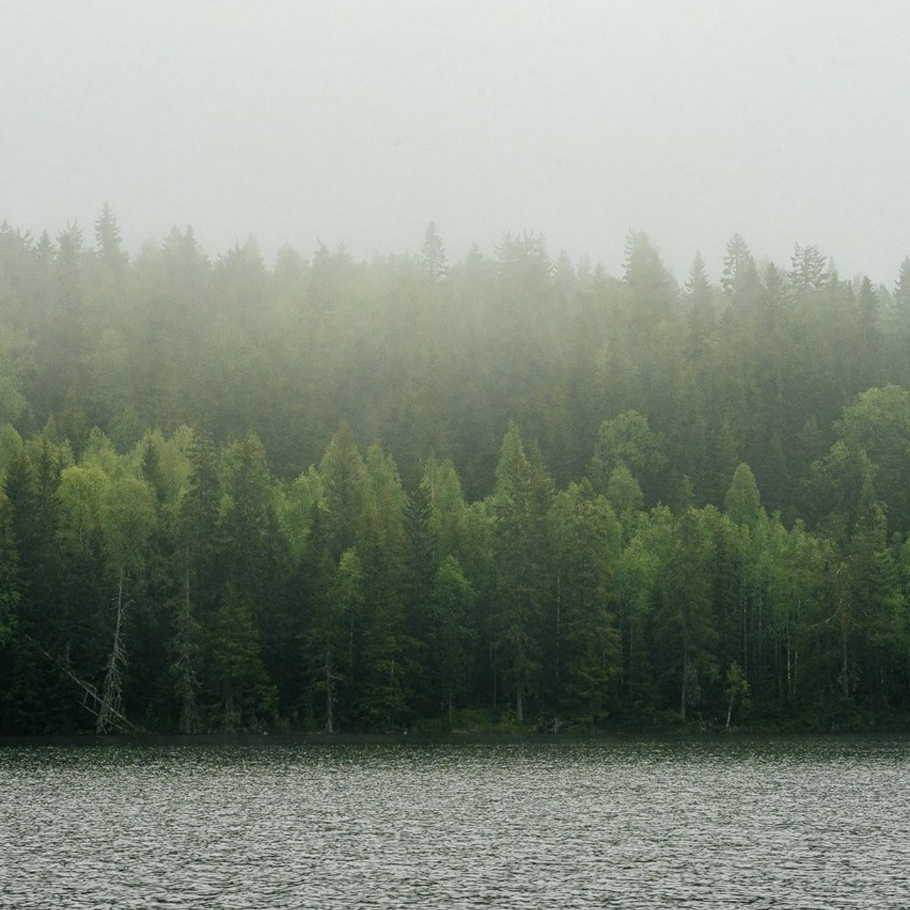 ОТЗЫВЫ. Свадебный и семейный фотограф Москва, Иваново Андрей Перфилов