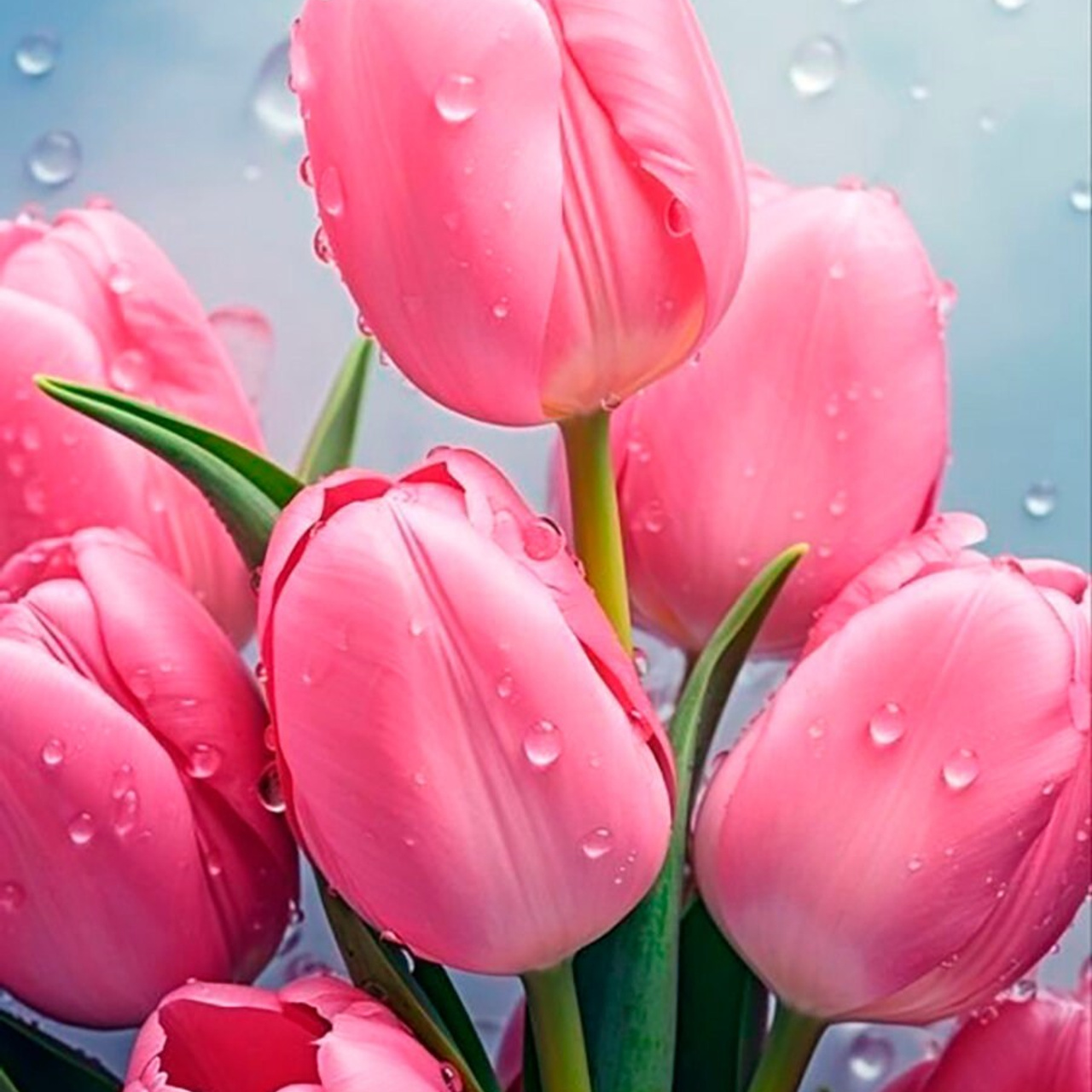 Отзывы. Детский фотограф