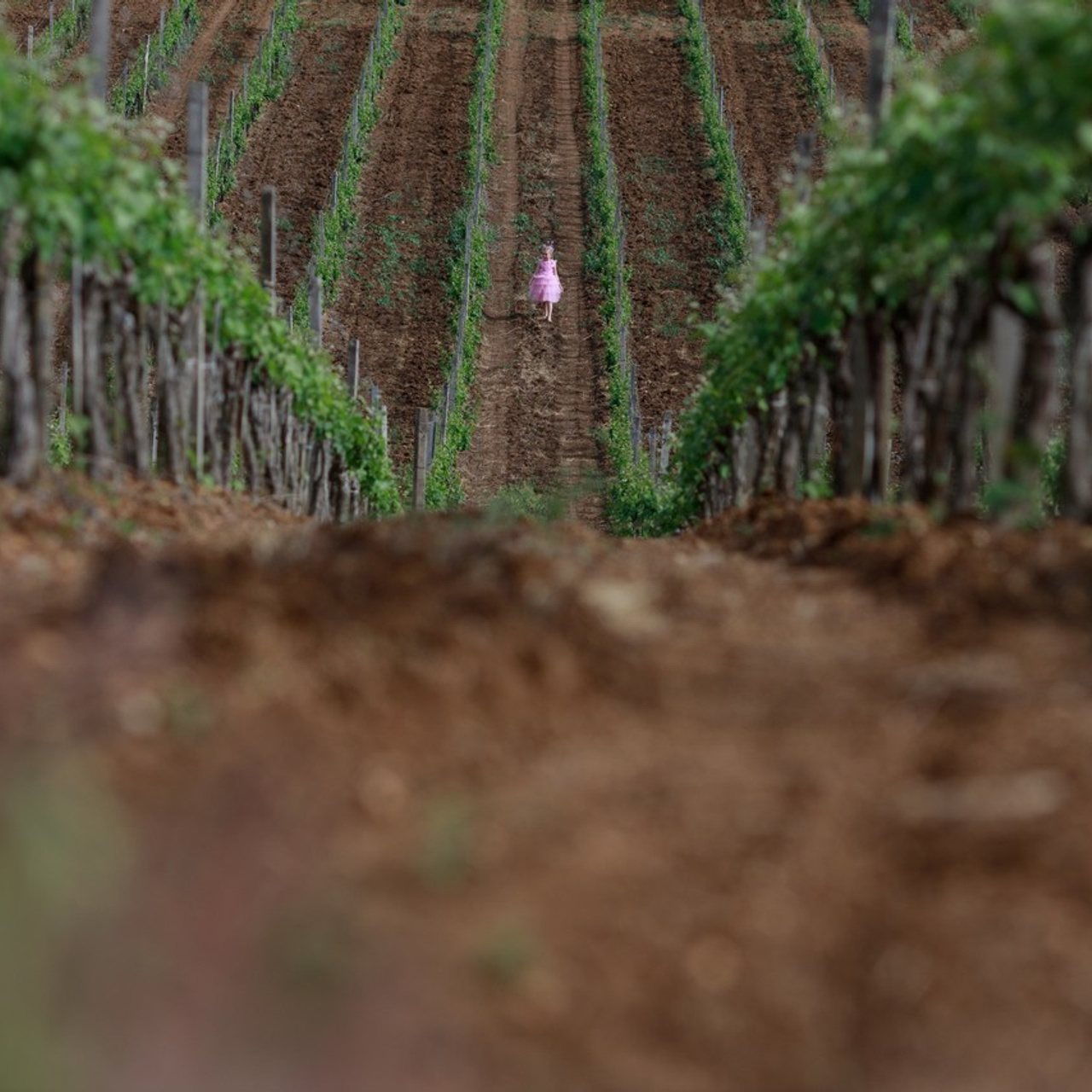 Отзывы. Римма Зайцева контент для брендов