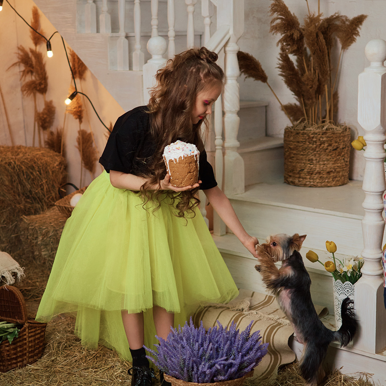 Проект «Пасхальная история»