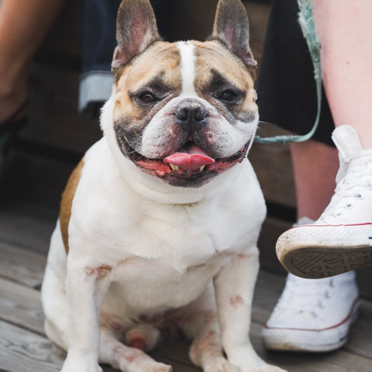 16 июня 2019 на Стрелке / фото Иван Гущин