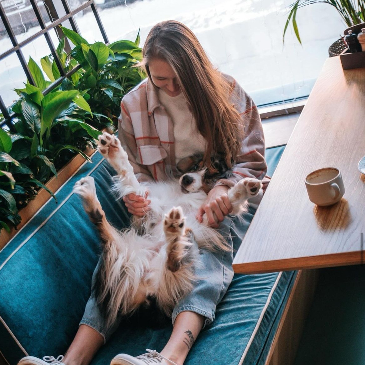 Отзывы. Главная