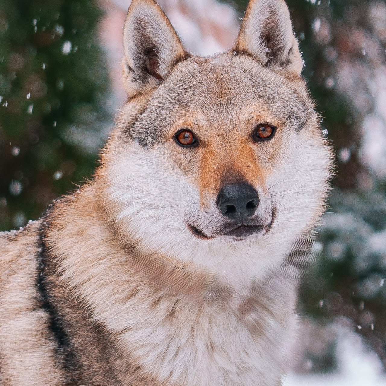 Отзывы. Главная