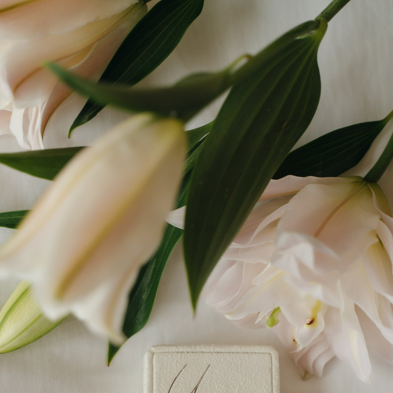 Отзывы. Свадебный фотограф Елизавета Поротикова