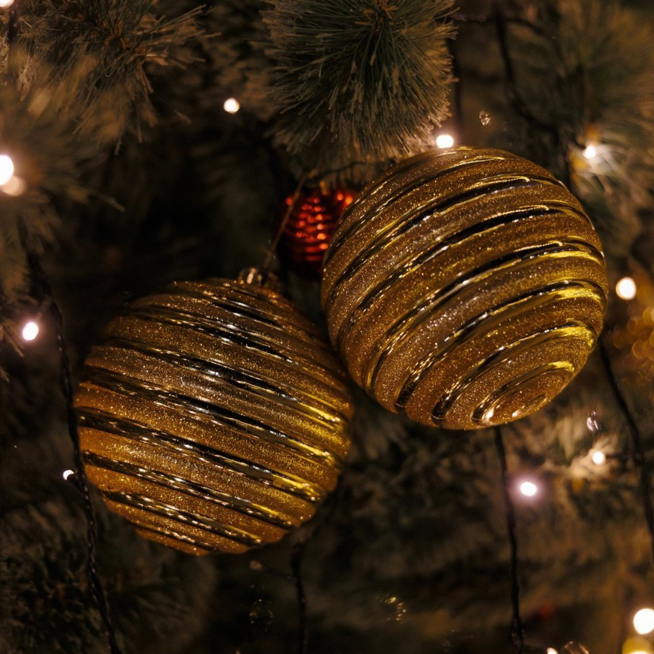 Отзывы. Фотограф Станислав Викулов в Чите