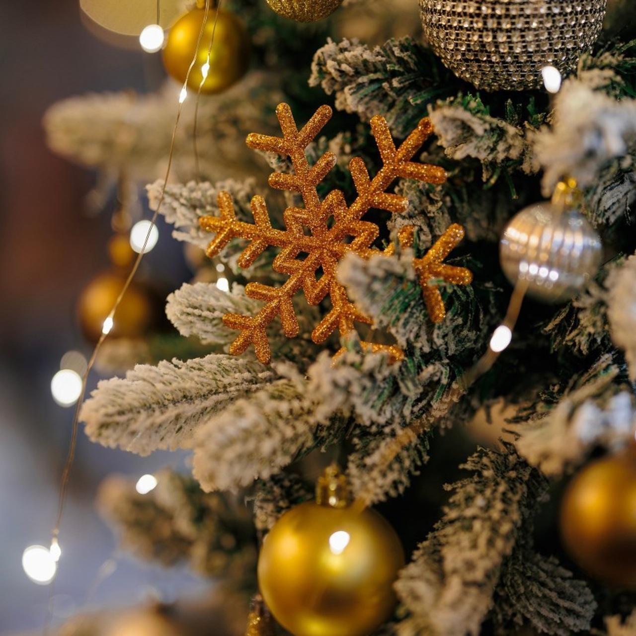 Отзывы. Фотограф Станислав Викулов в Чите