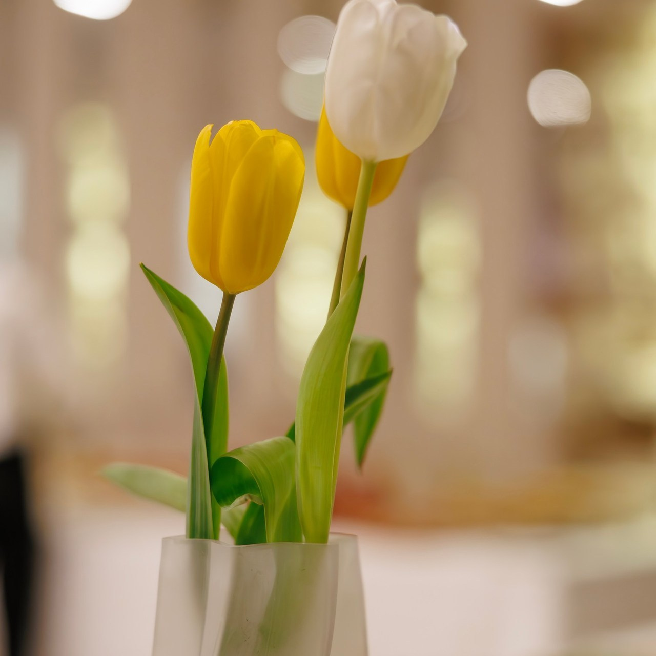 Отзывы. Фотограф Станислав Викулов в Чите