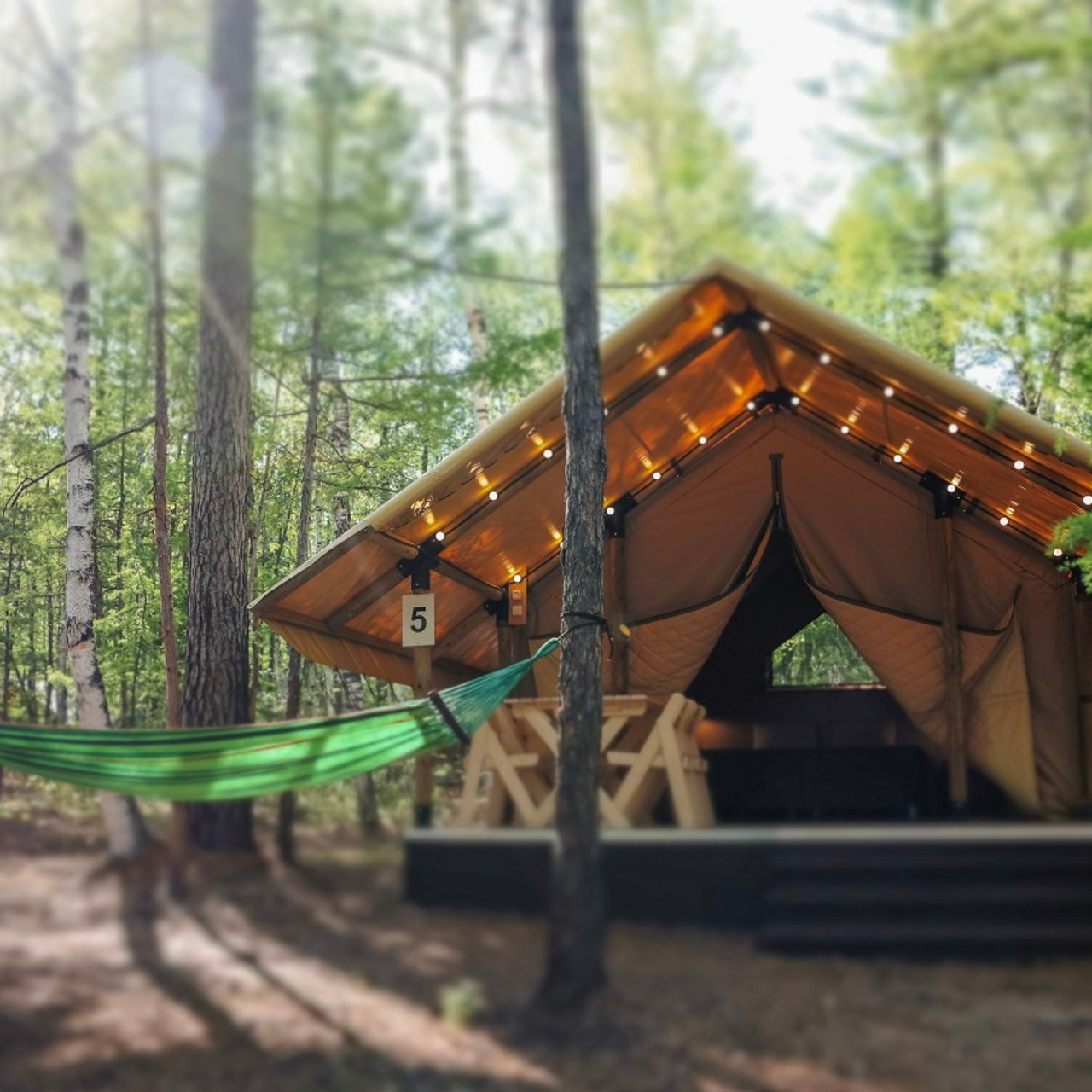 Отзывы. Фотограф Станислав Викулов в Чите