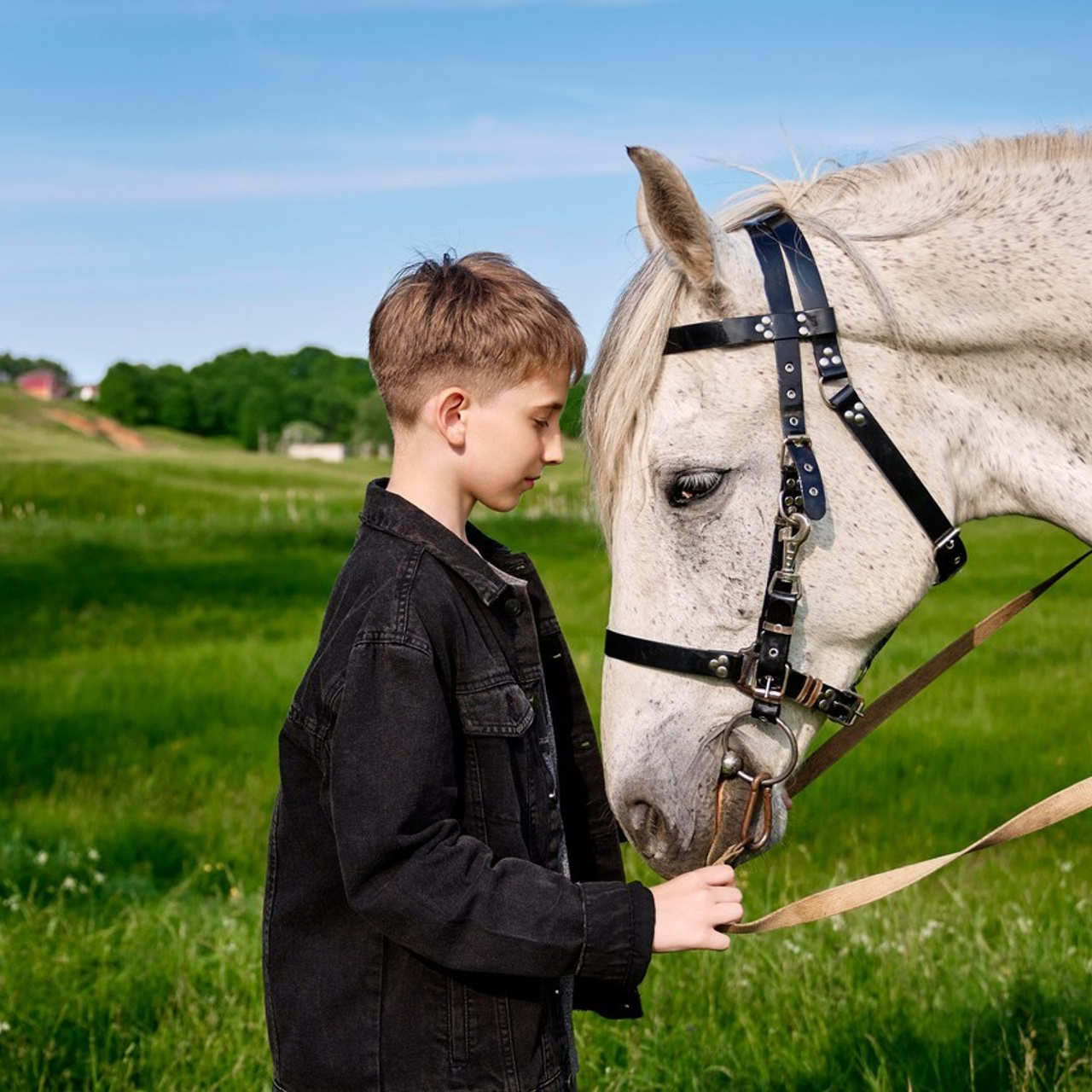 Отзывы. Андрей Метельков
