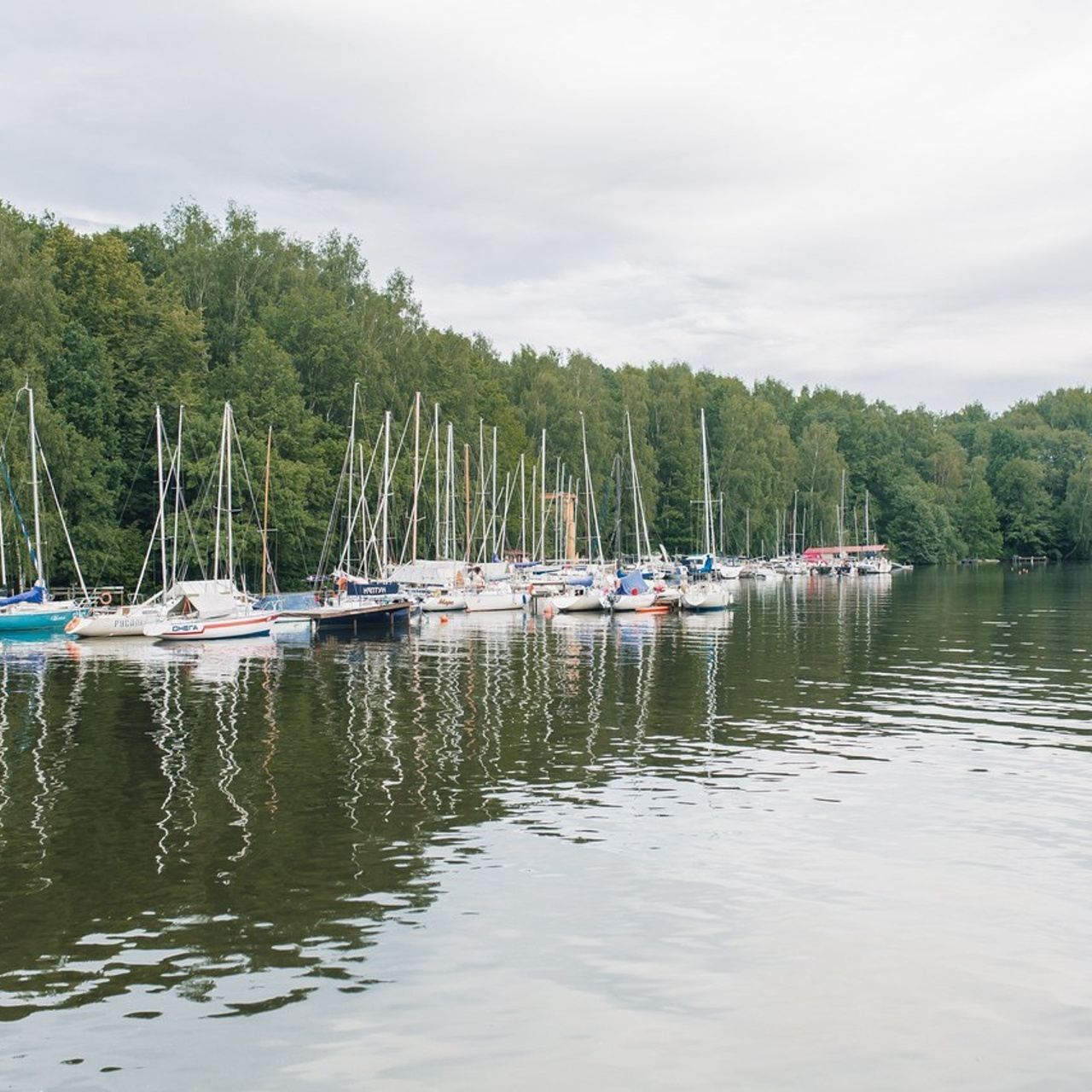 Отзывы. Портретный фотограф Николаева Анна