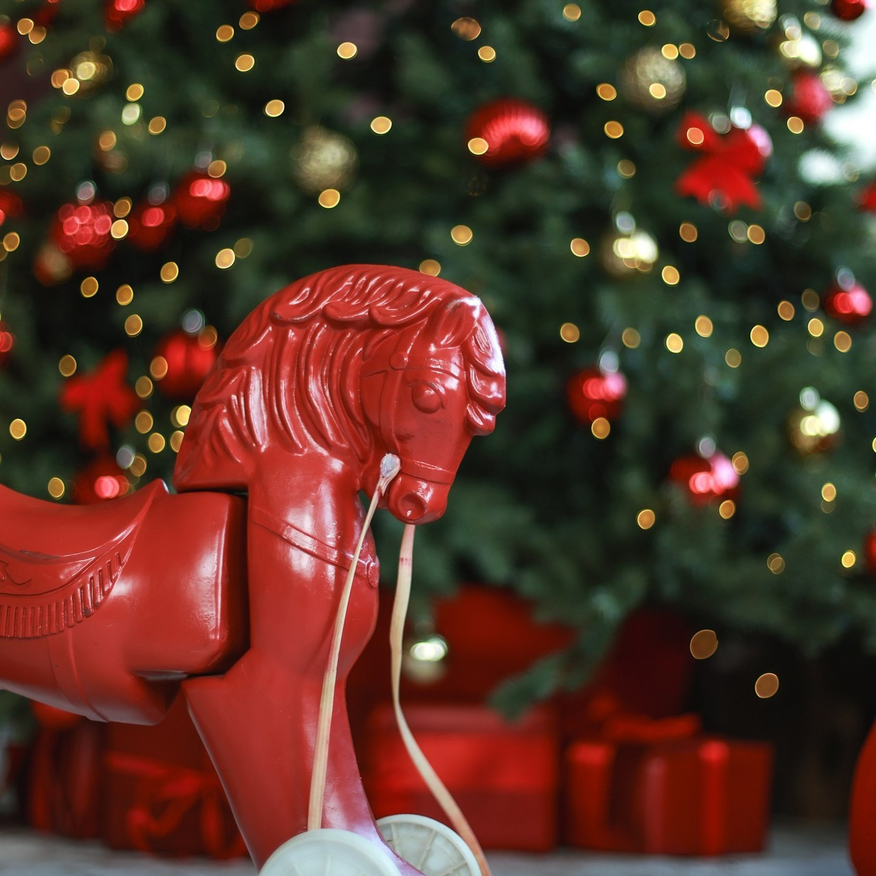 Отзывы. Модный фотограф в Самаре/Москве Ксения Ли