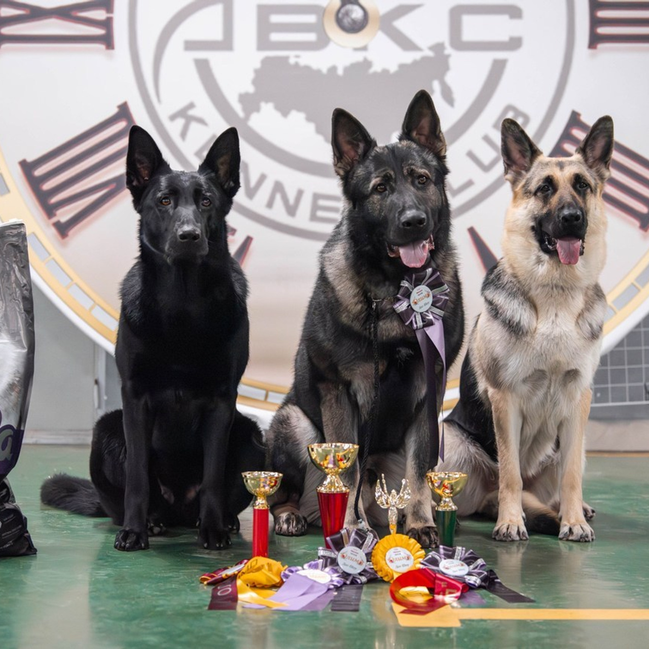 Отзывы. Фотограф Светлана Блинова, Москва и Московская область
