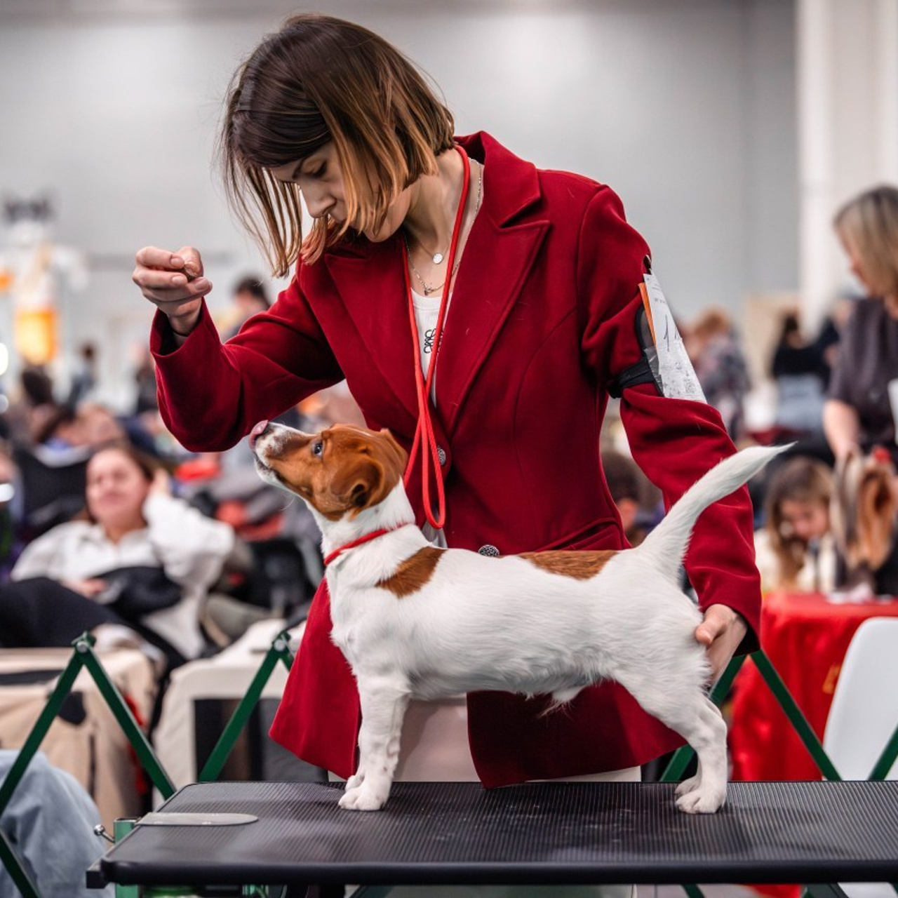Отзывы. Фотограф Светлана Блинова, Москва и Московская область