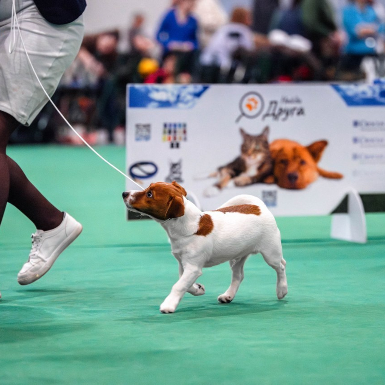 Отзывы. Фотограф Светлана Блинова, Москва и Московская область