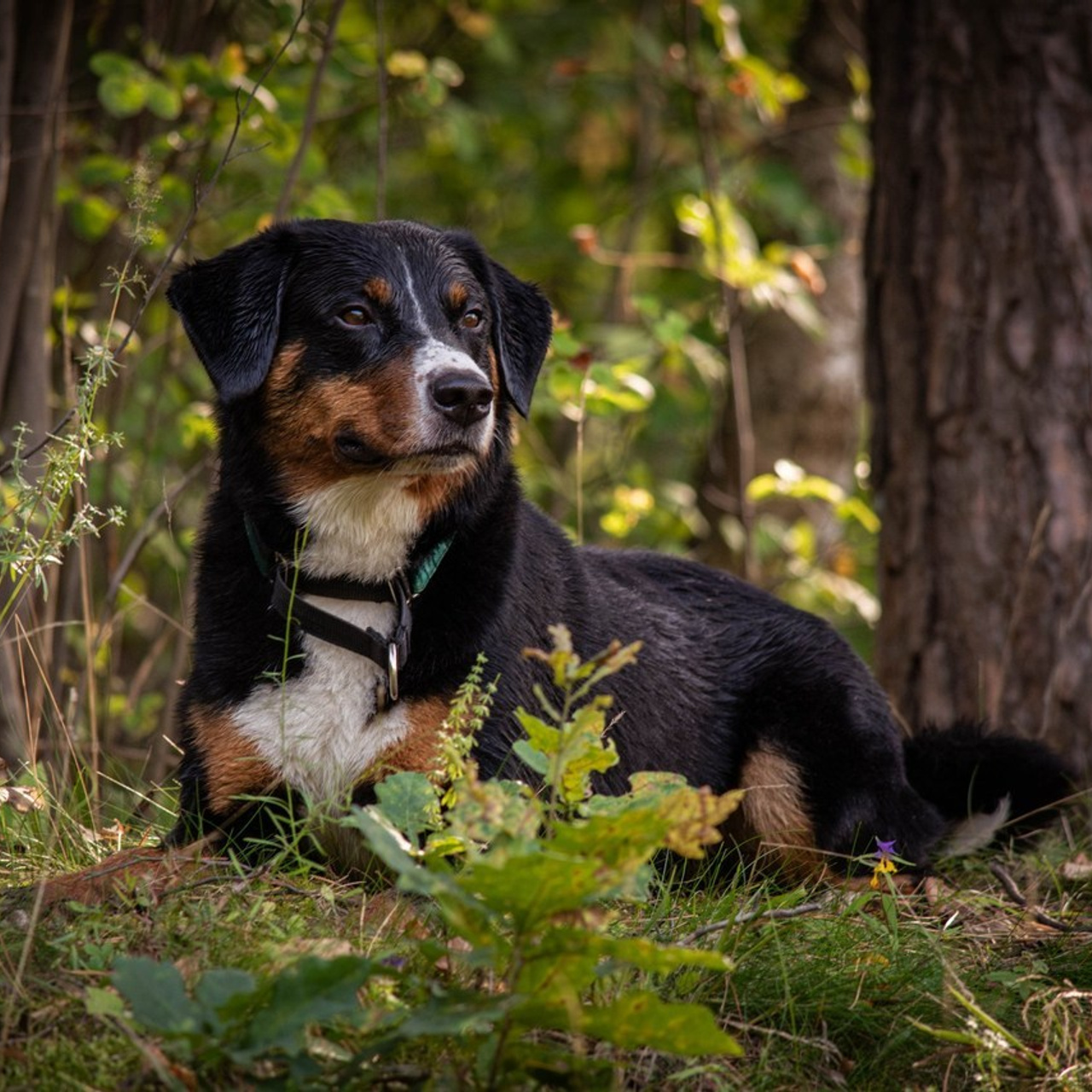 Отзывы. Фотограф Светлана Блинова, Москва и Московская область
