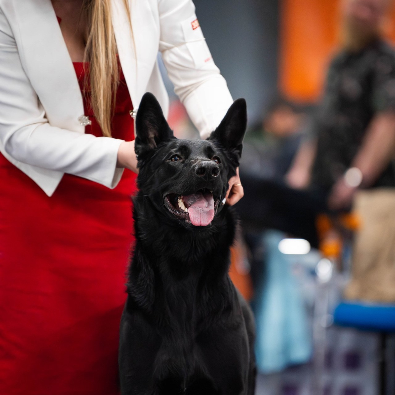 Отзывы. Фотограф Светлана Блинова, Москва и Московская область