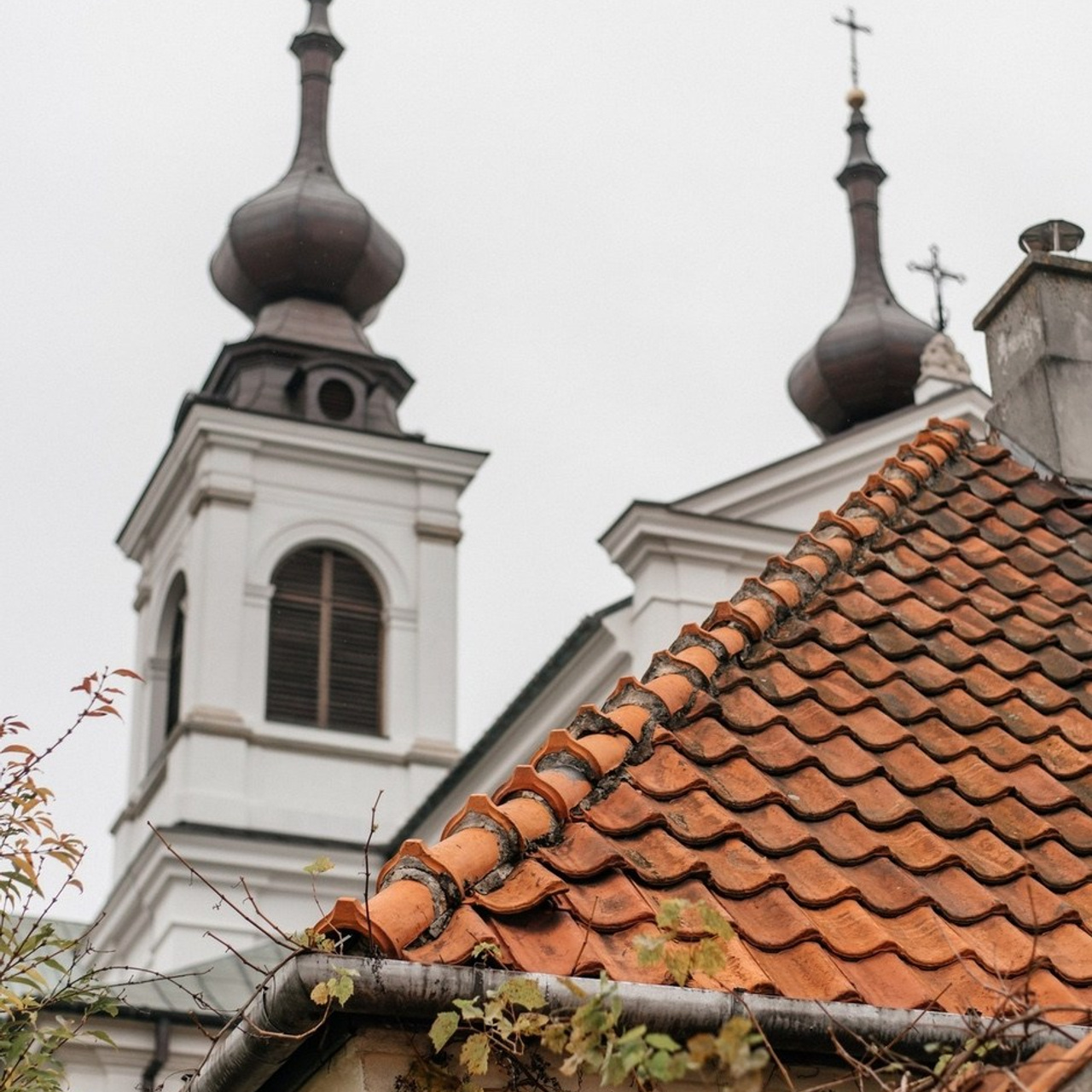 Отзывы. Костюшко Кристина — семейный и свадебный фотограф в Минске