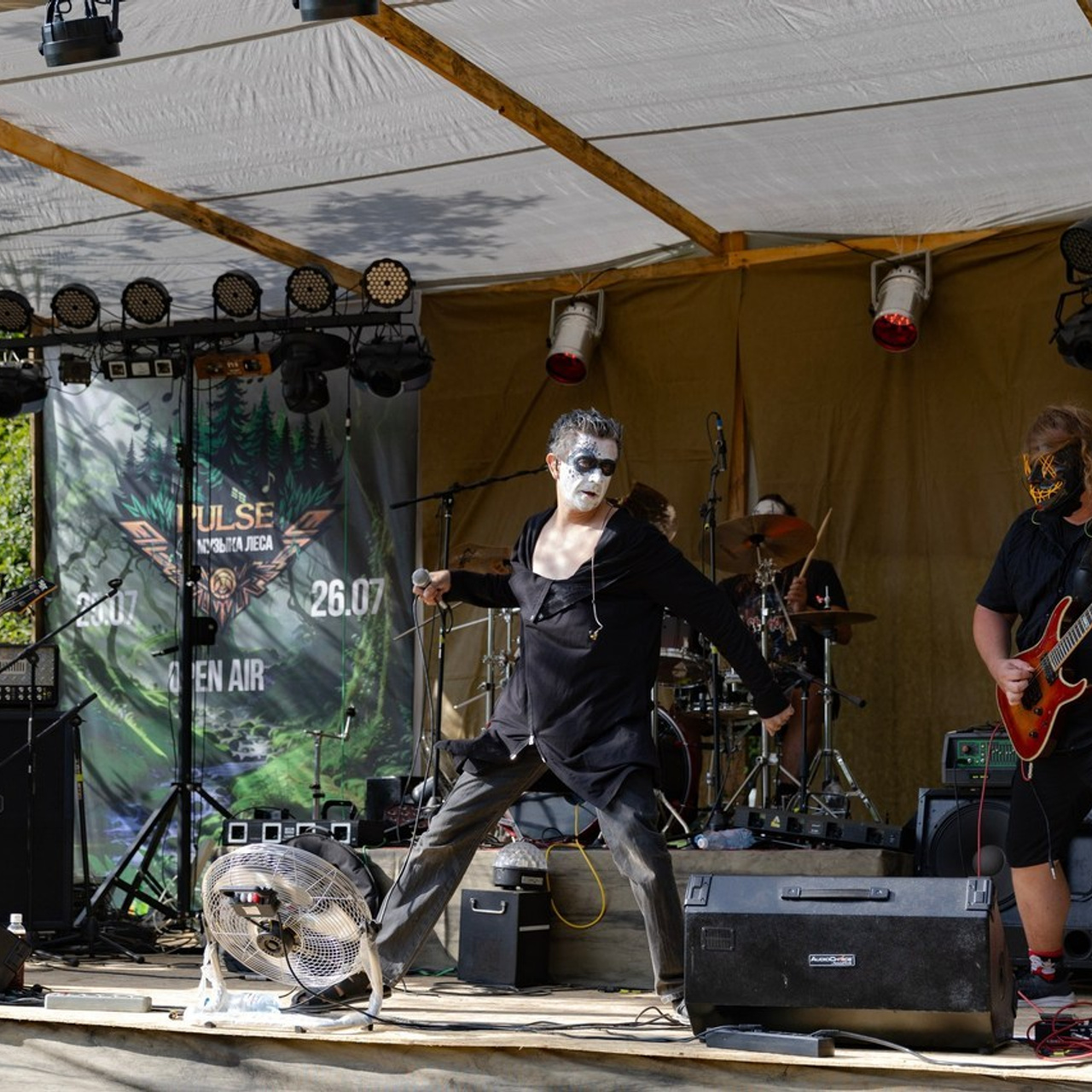 Отзывы. Елена Фиткулина. Концертный и репортажный фотограф на КМВ