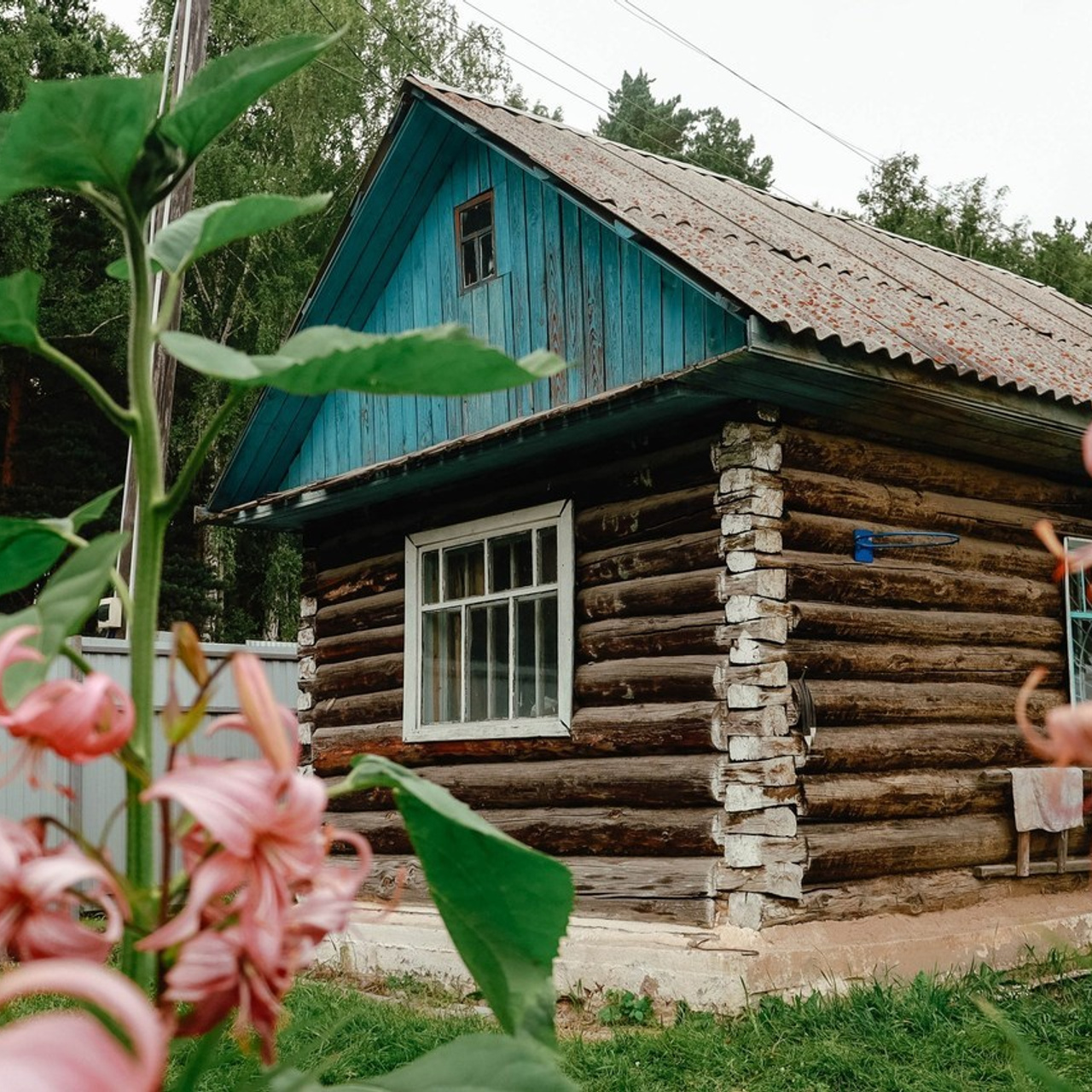 Отзывы. Фотограф Александра Коновалова