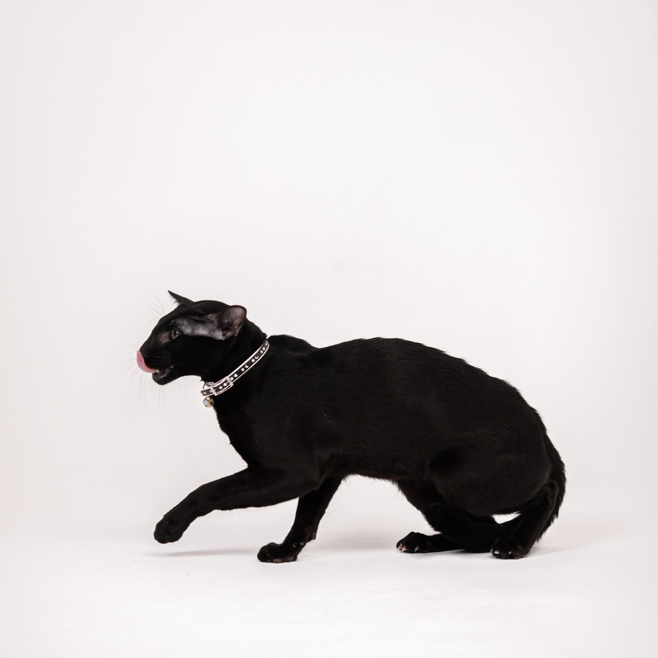 Отзывы. Фотостудия Фонарь