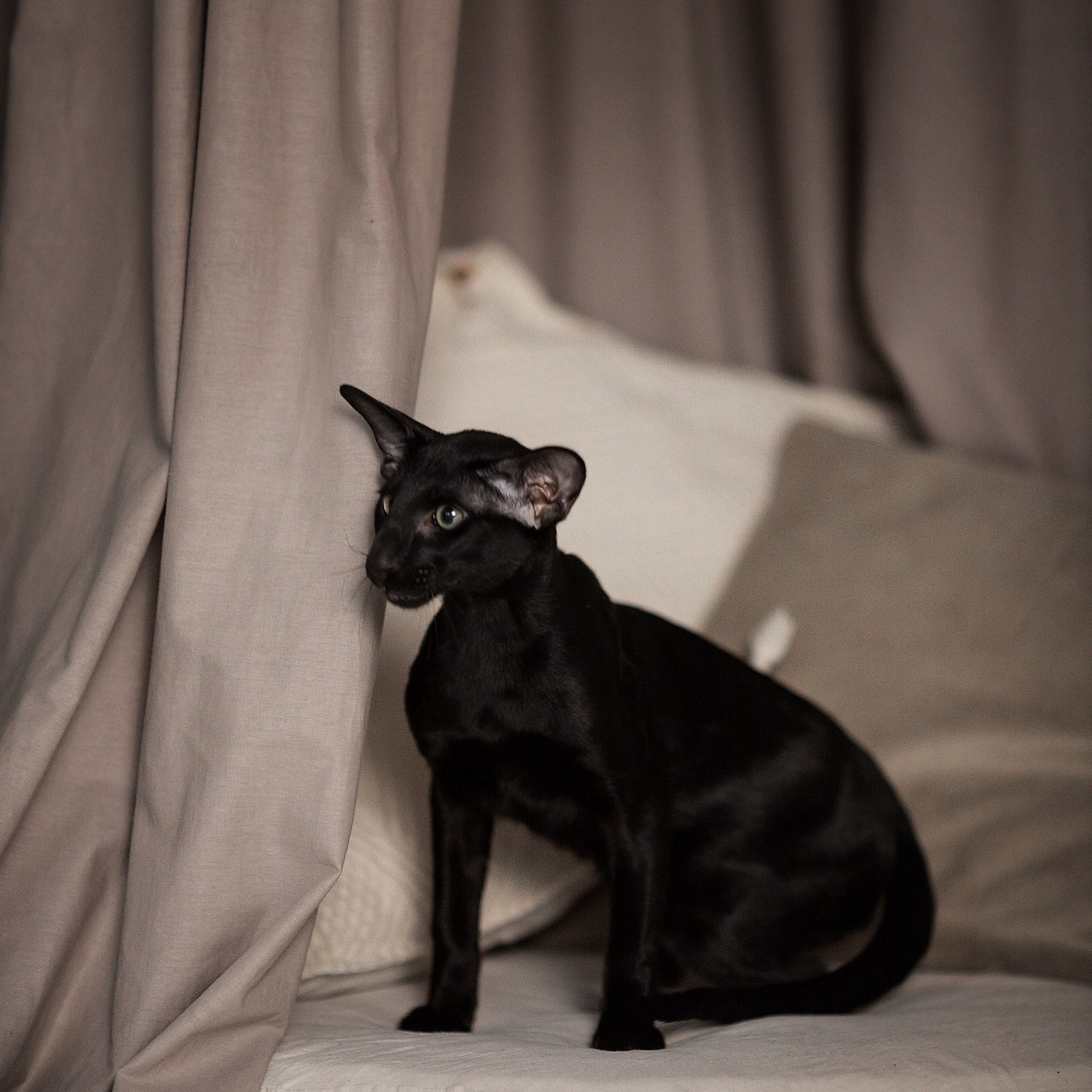 Отзывы. Фотостудия Фонарь