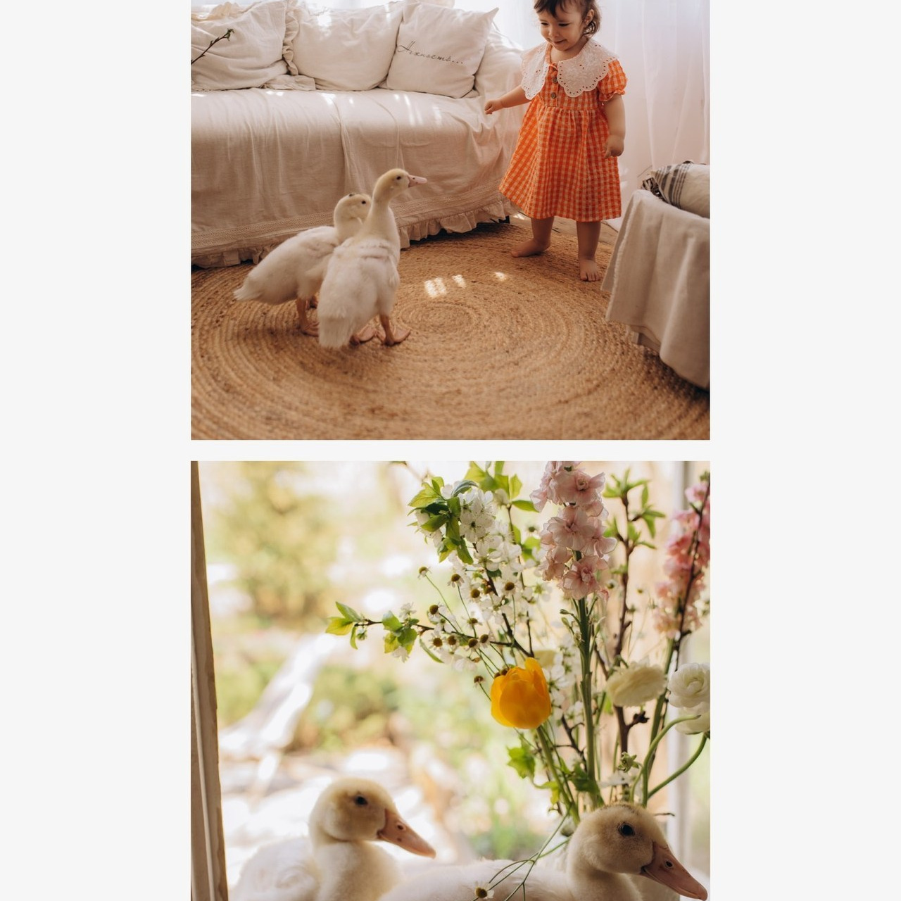 Отзывы. Виктория Белохвостикова