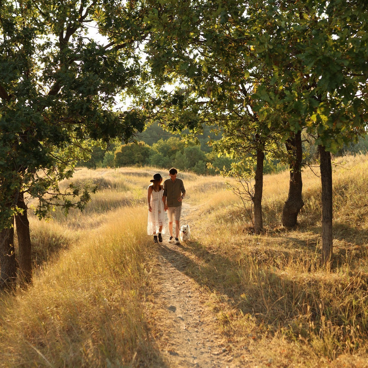 Отзывы. Виктория Белохвостикова