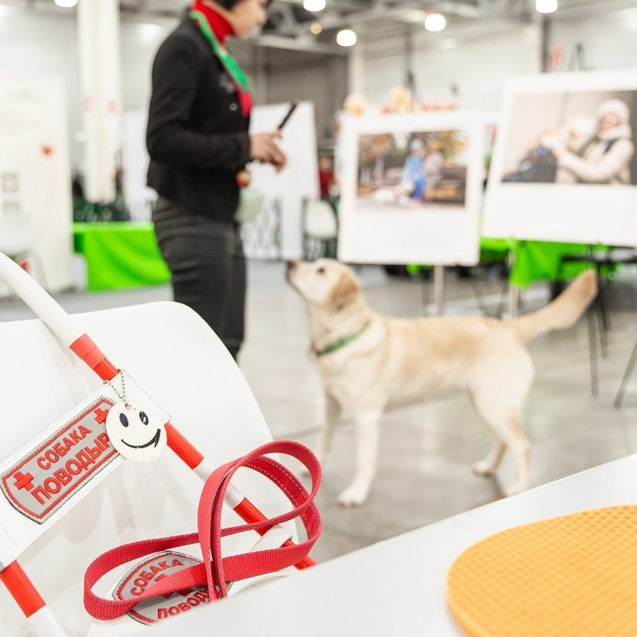 Отзывы. Фотограф Ирина Астор