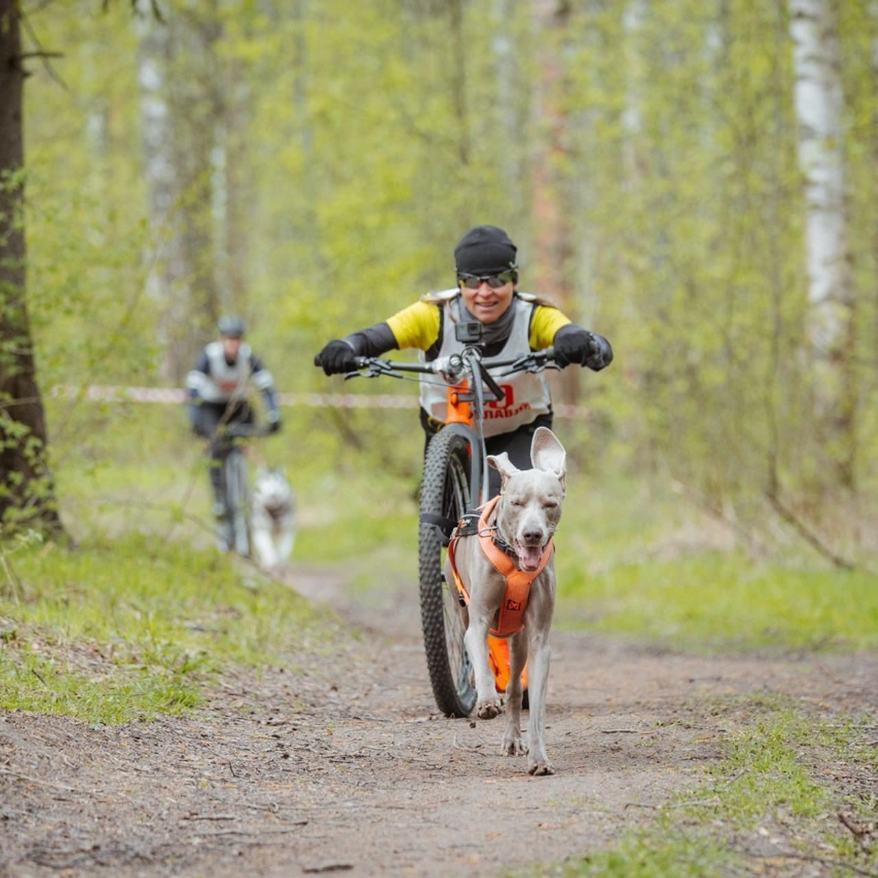 Отзывы. Фотограф Ирина Астор