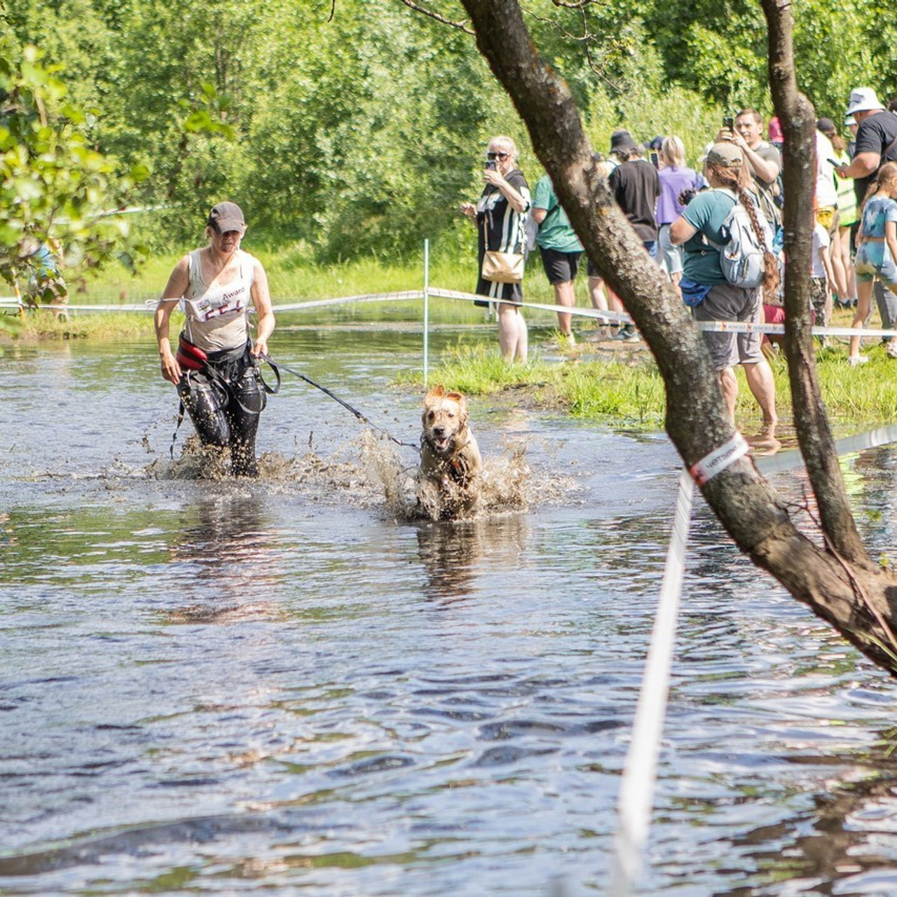 Отзывы. Фотограф Ирина Астор