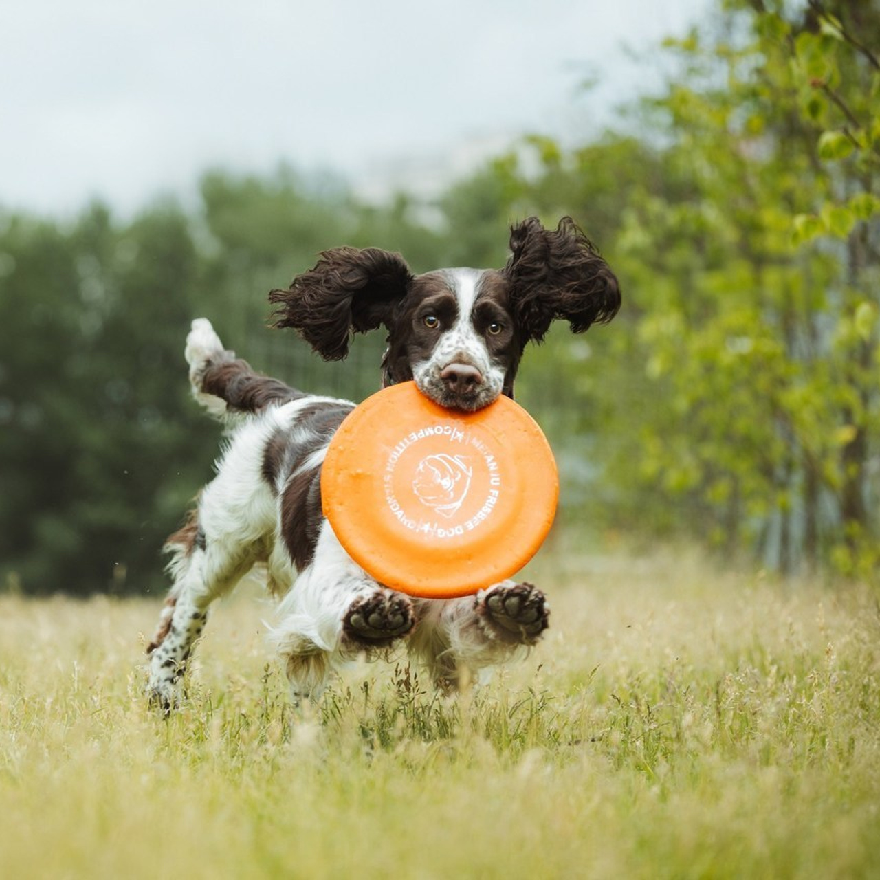 Отзывы. Фотограф Ирина Астор