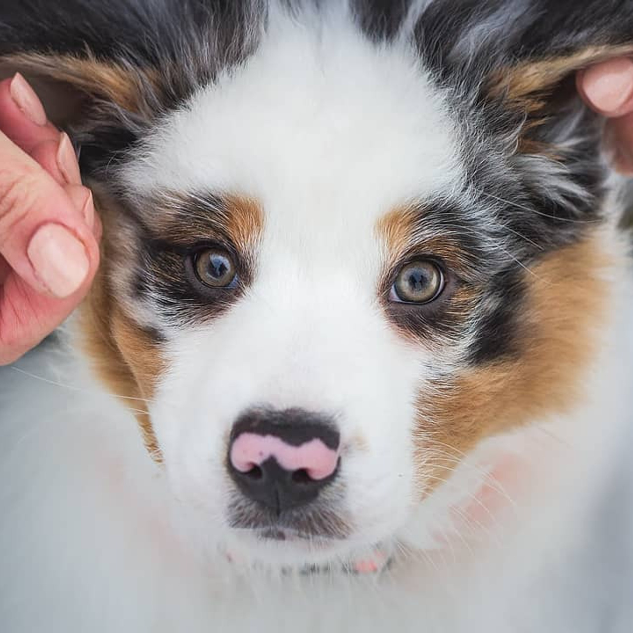 Отзывы. Фотограф Ирина Астор