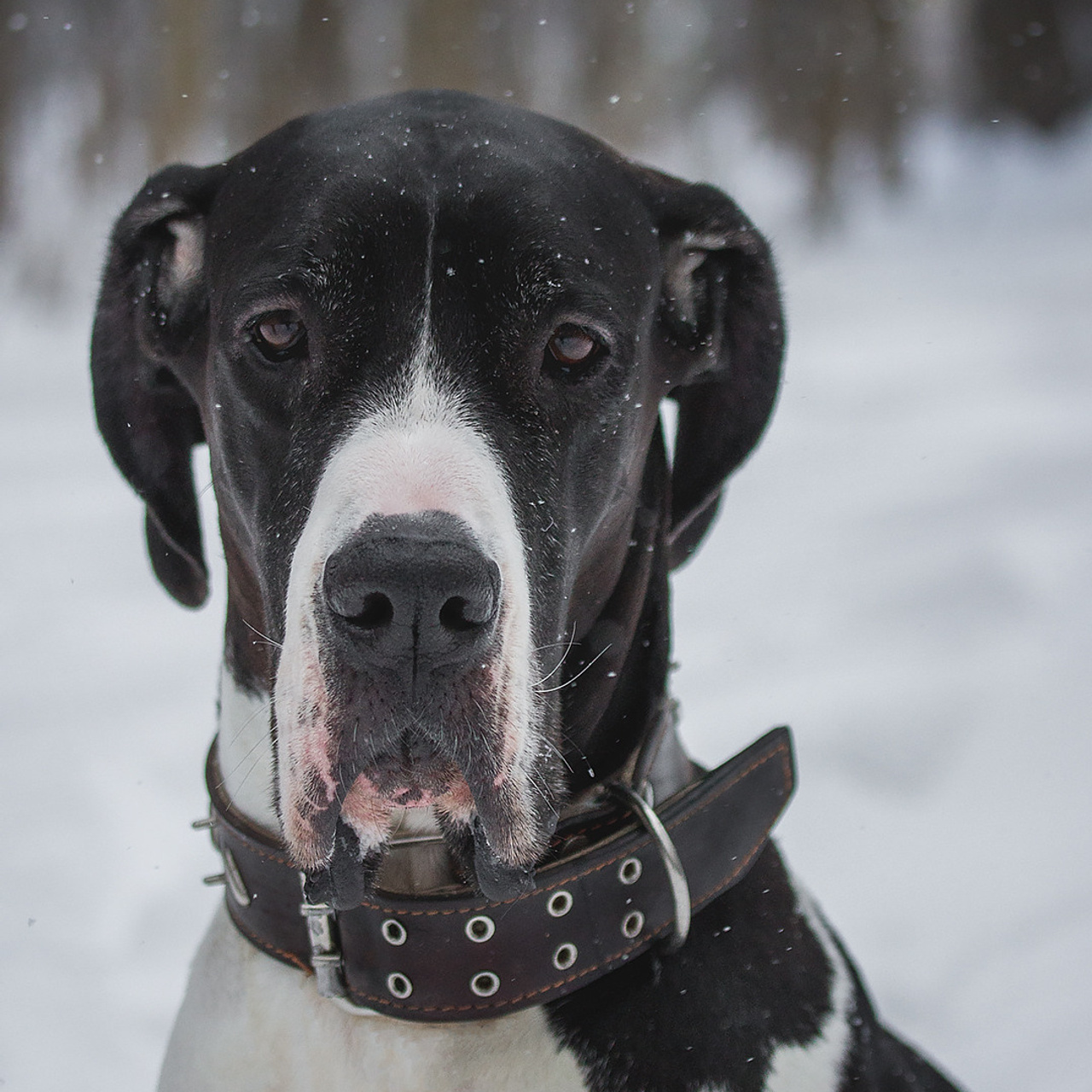 Отзывы. Фотограф Ирина Астор