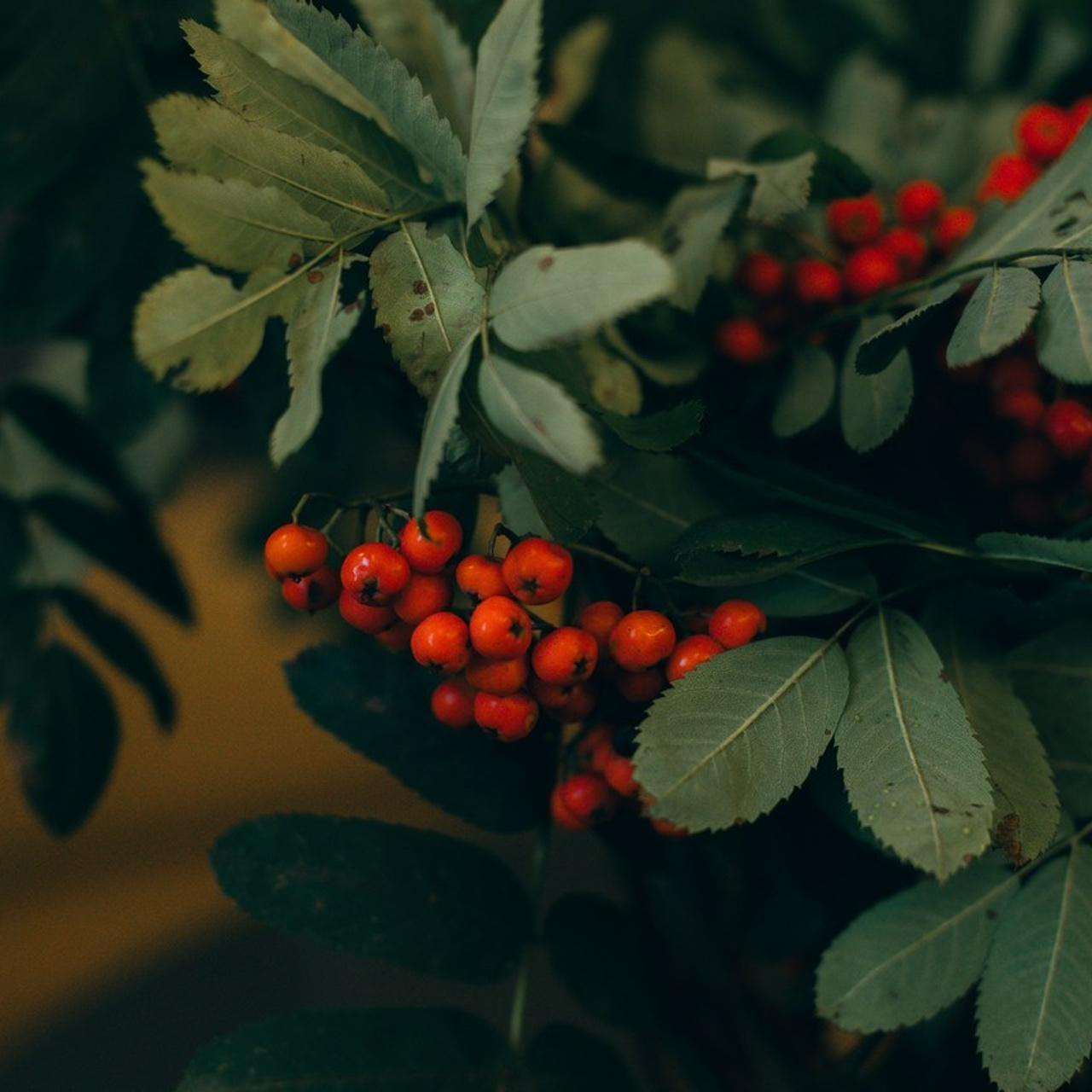 Отзывы. Фотограф Ксения Крохина Санкт-Петербург