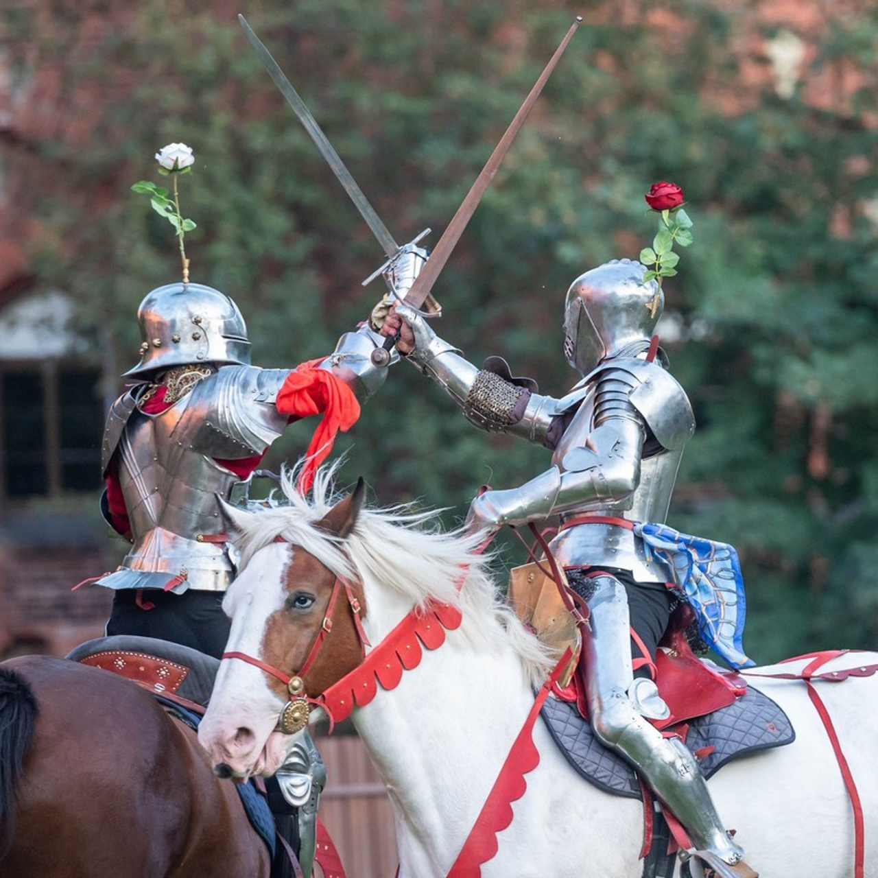 Отзывы. Фотограф в Калининграде Роман Большаков