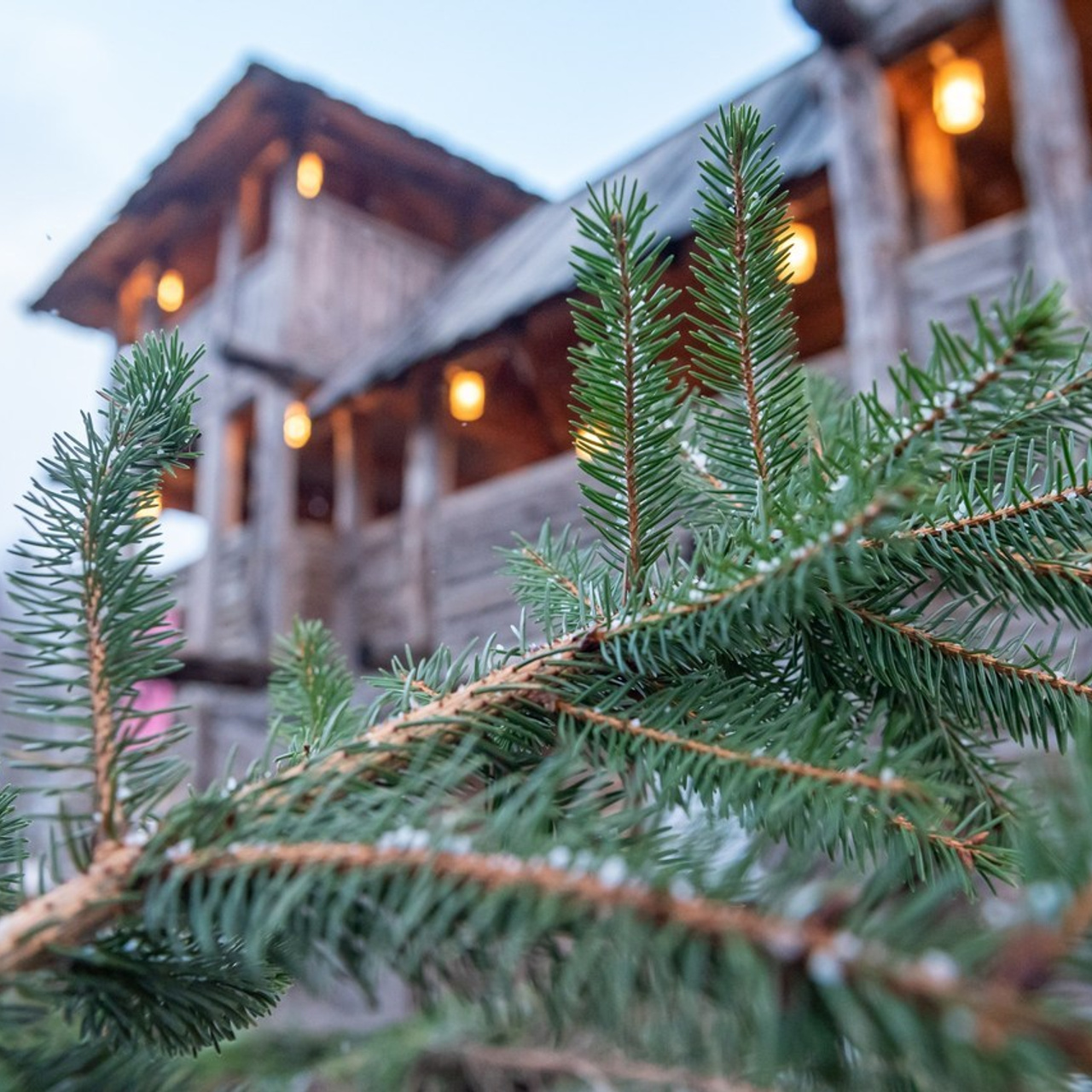 Отзывы. Фотограф в Калининграде Роман Большаков