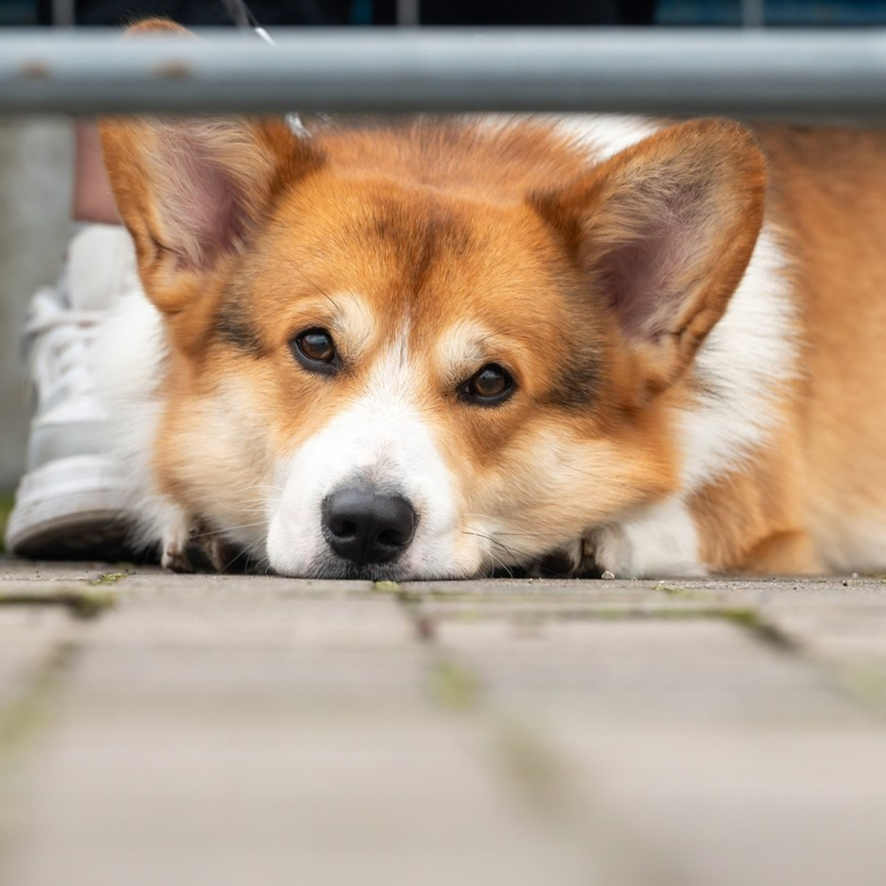 Отзывы. Фотограф в Калининграде Роман Большаков