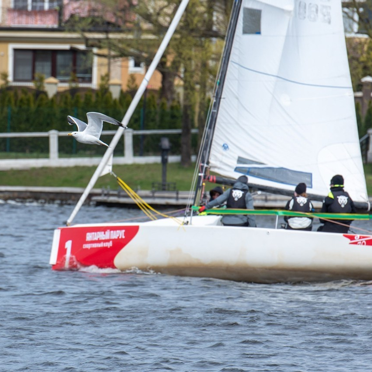 Отзывы. Фотограф в Калининграде Роман Большаков