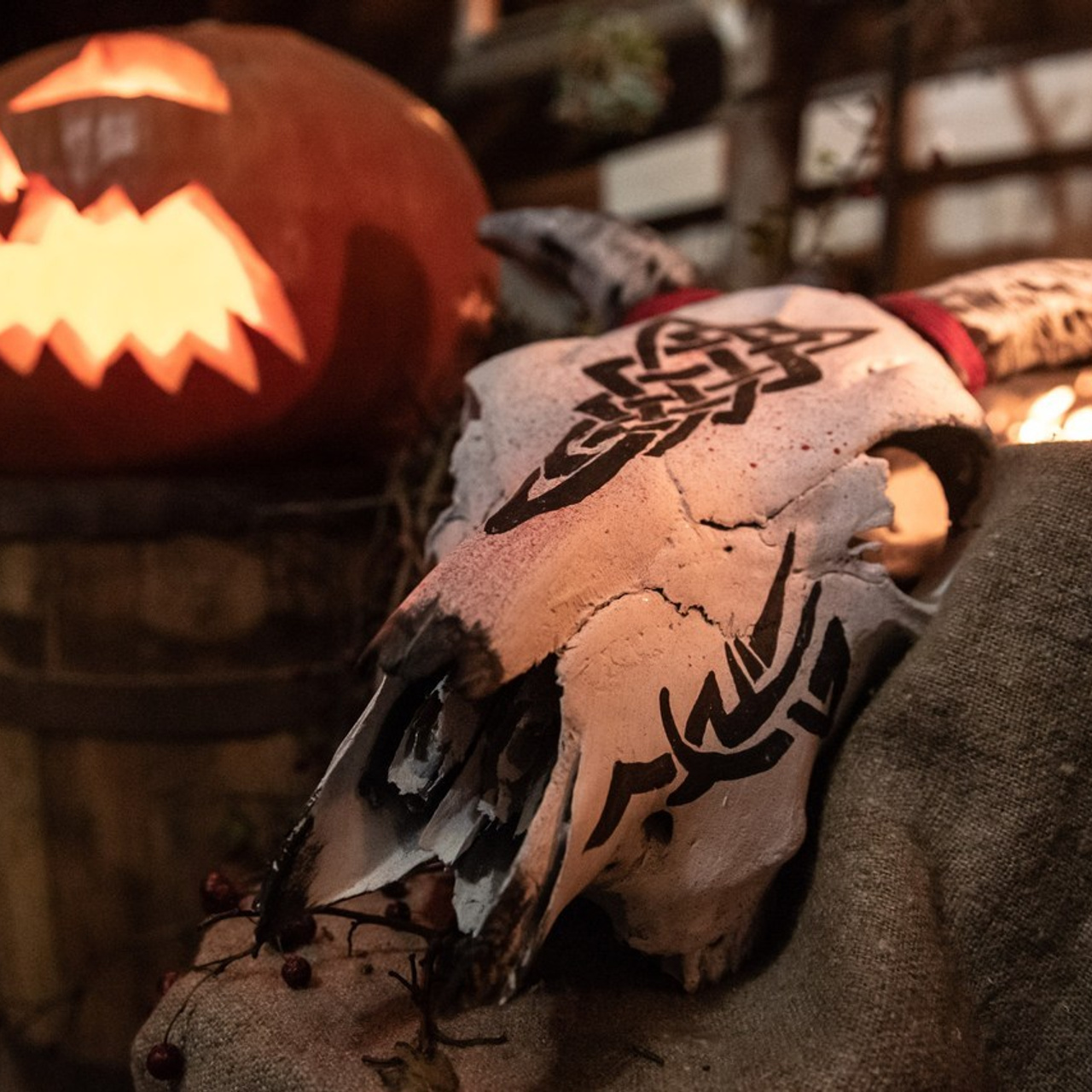 Отзывы. Фотограф в Калининграде Роман Большаков