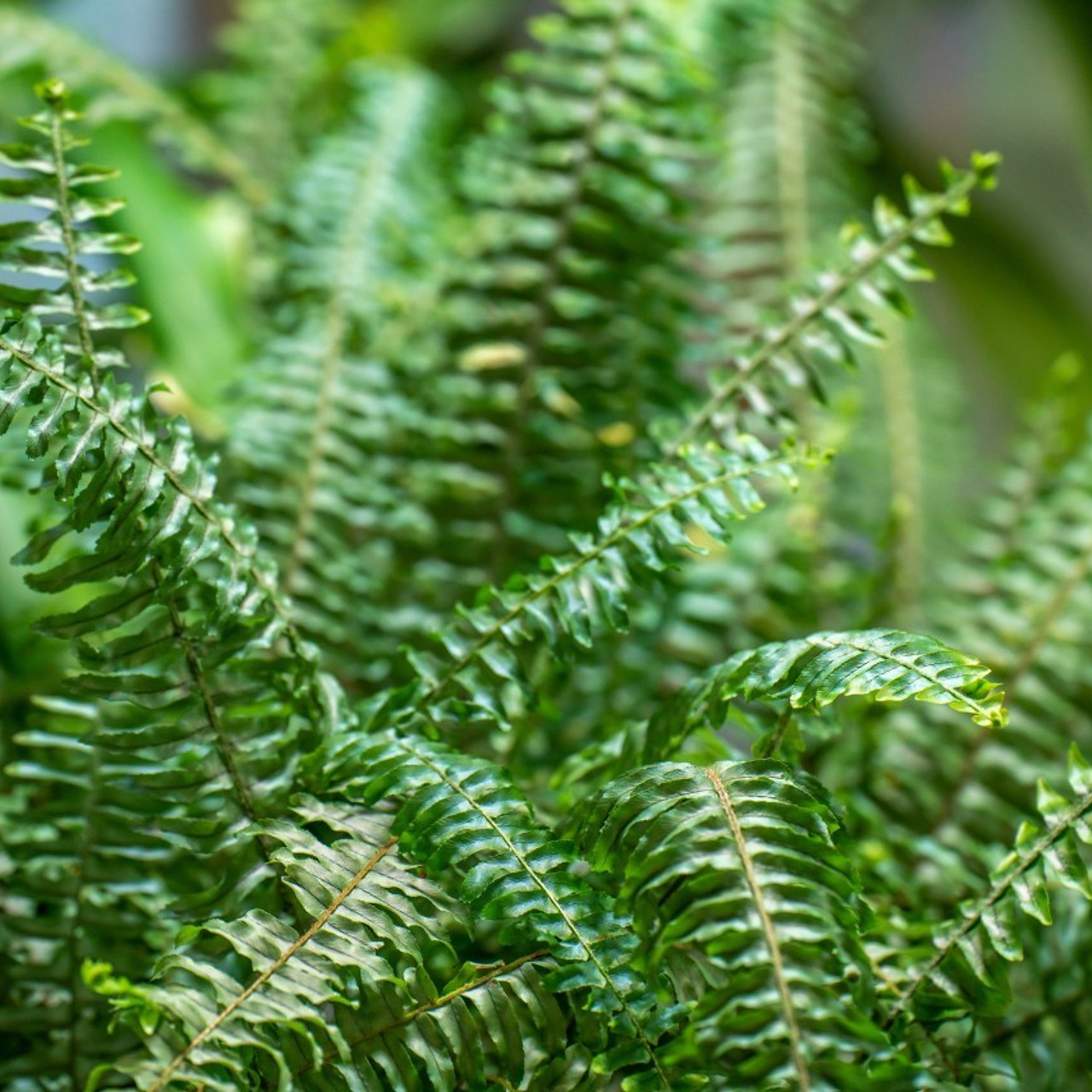 Отзывы. Свадебное фото видео в Иркутске, выпускной, юбилей. Морозов Анатолий