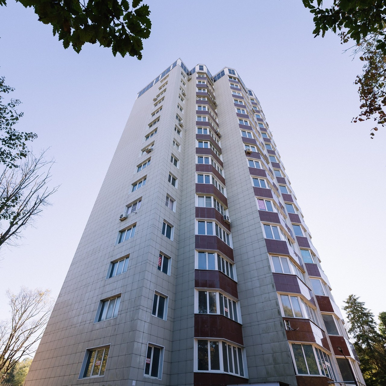 Отзывы. Свадебный фотограф в Сочи Максим Махмудов