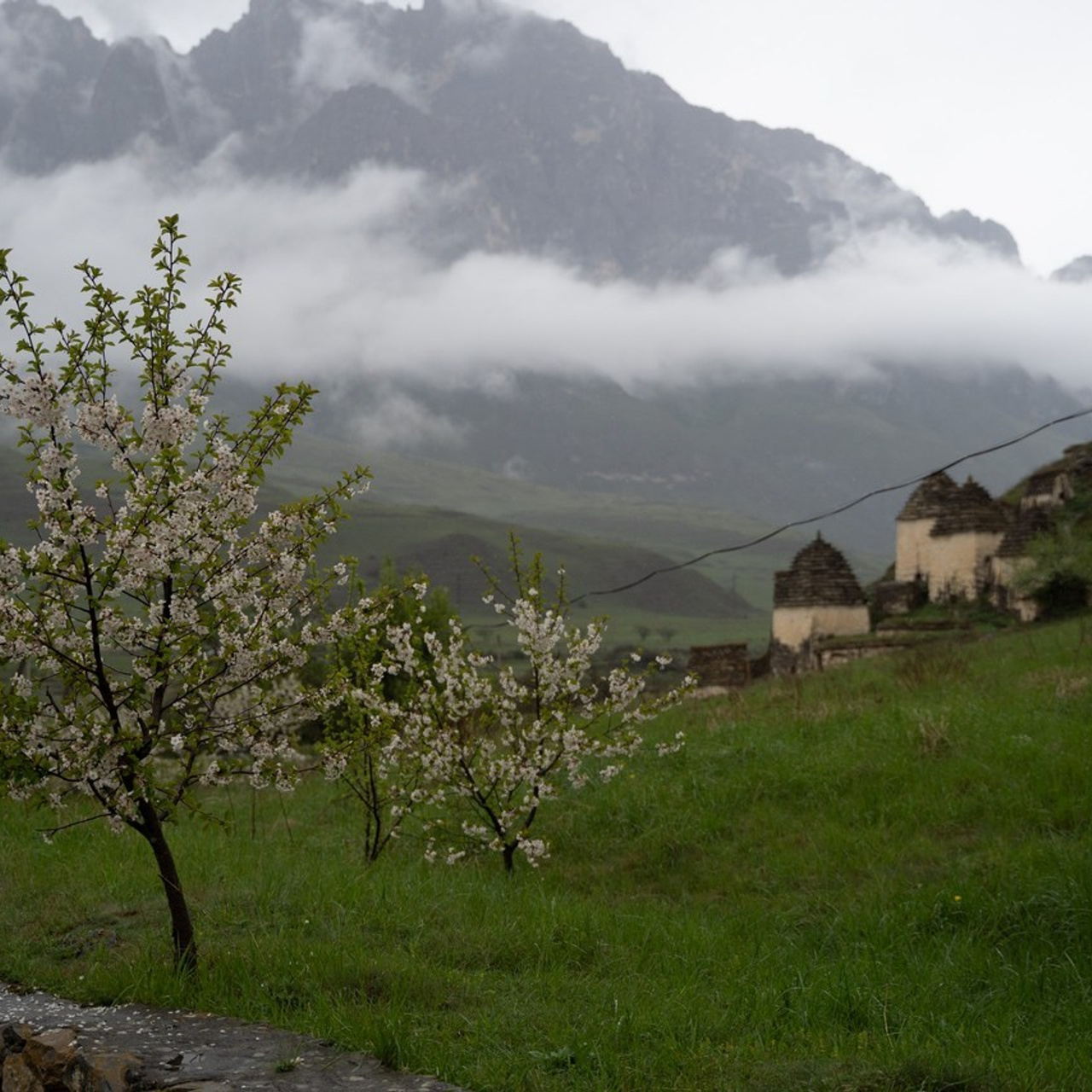 Отзывы клиентов. Семейный и детский фотограф в Москве