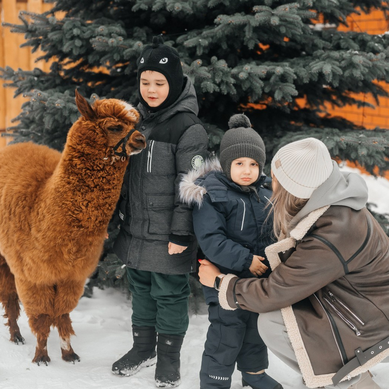 Отзывы. Профессиональный фотограф в Уфе Алина Стрелкова