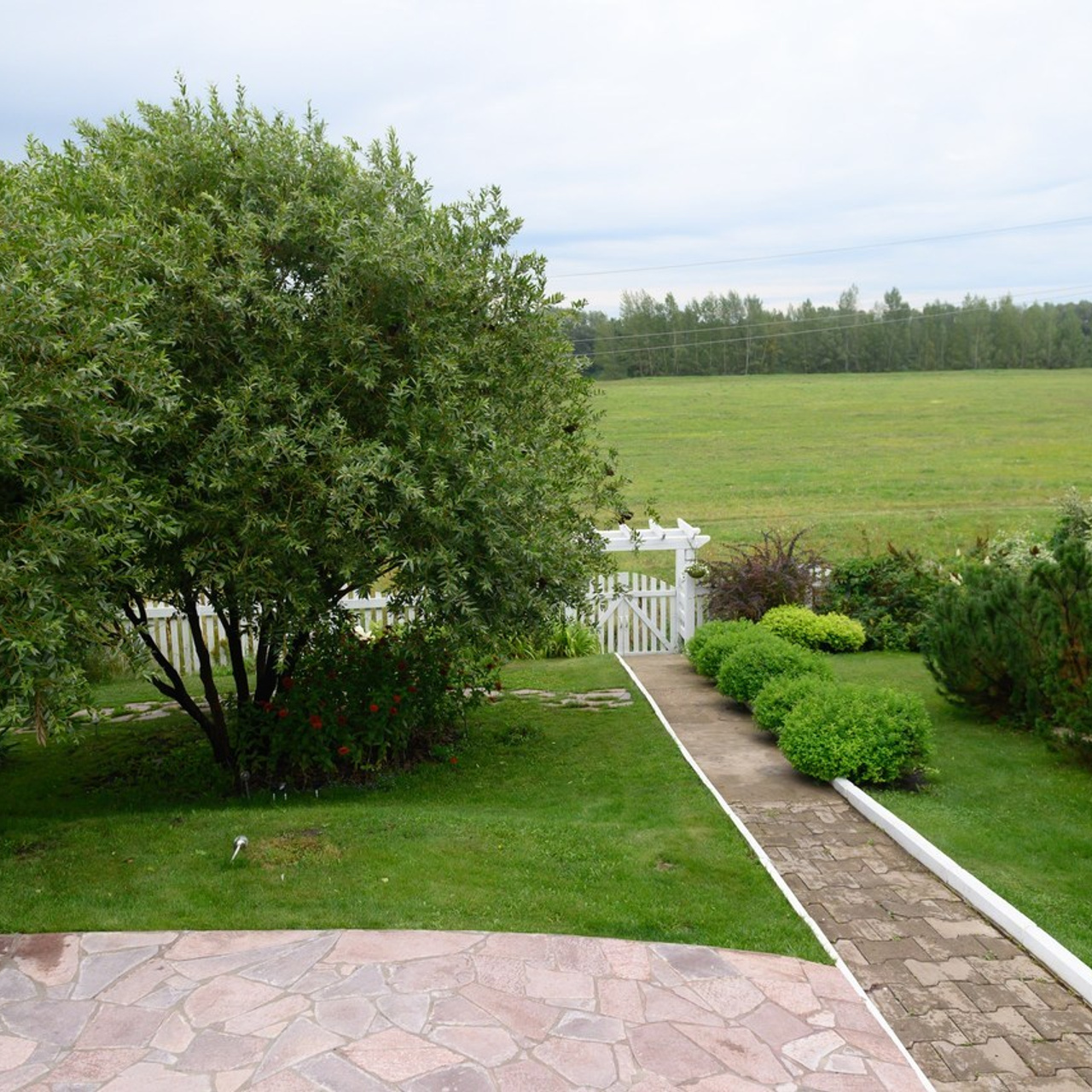 Отзывы. Профессиональный фотограф в Уфе Алина Стрелкова